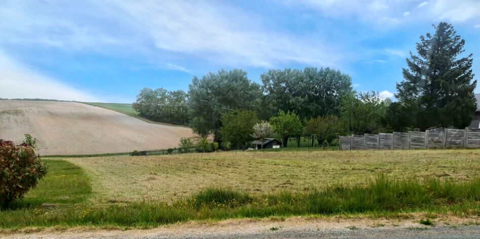 Terrain CERE LA RONDE (37460) 2744.00 m²