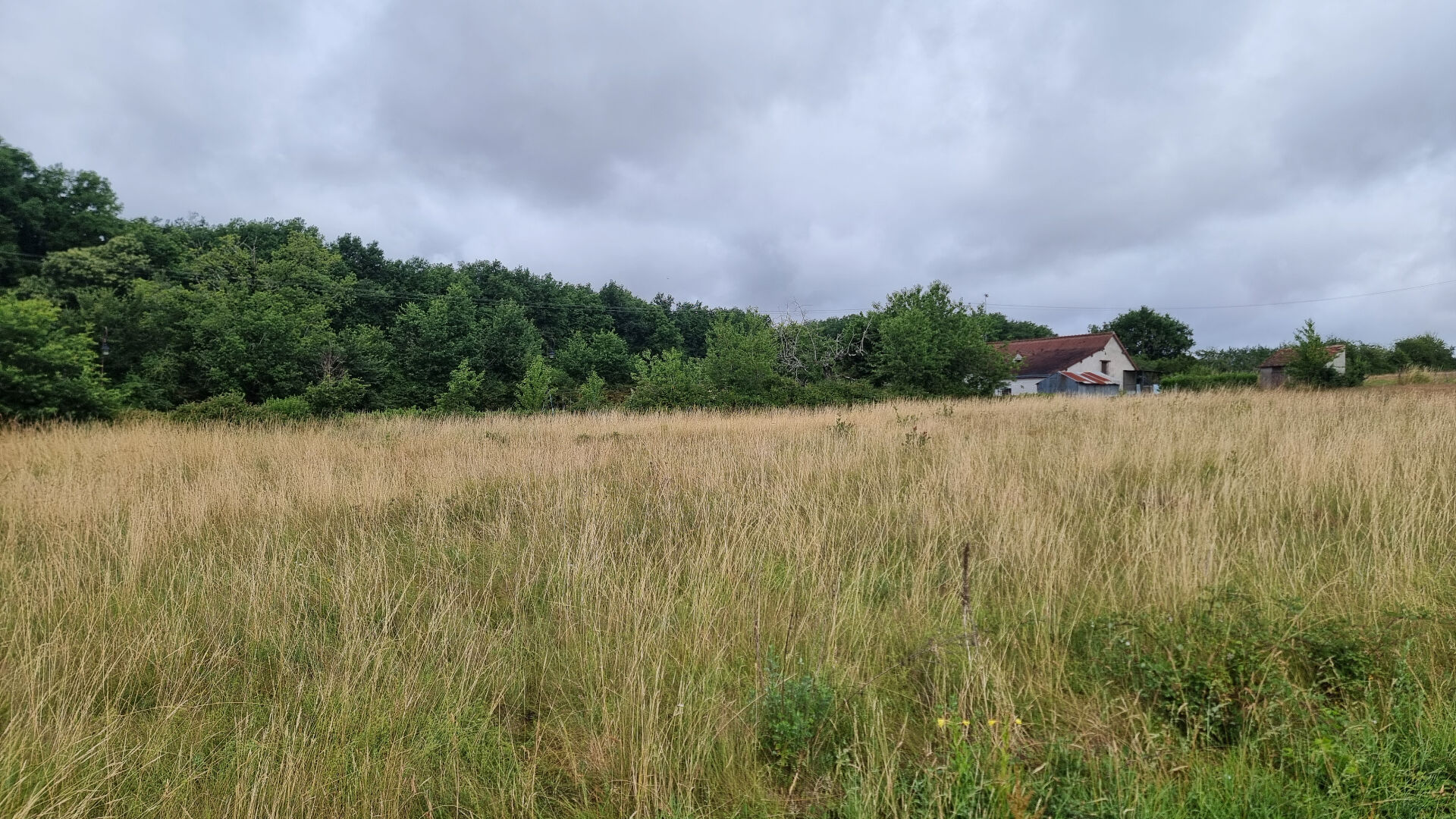 Terrain NOUANS LES FONTAINES (37460) 2104.00 m²
