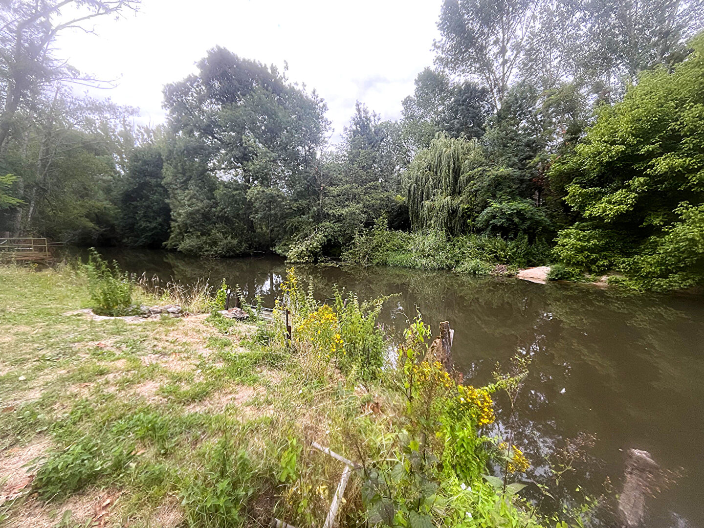 Terrain de loisirs TOUR EN SOLOGNE (41250)