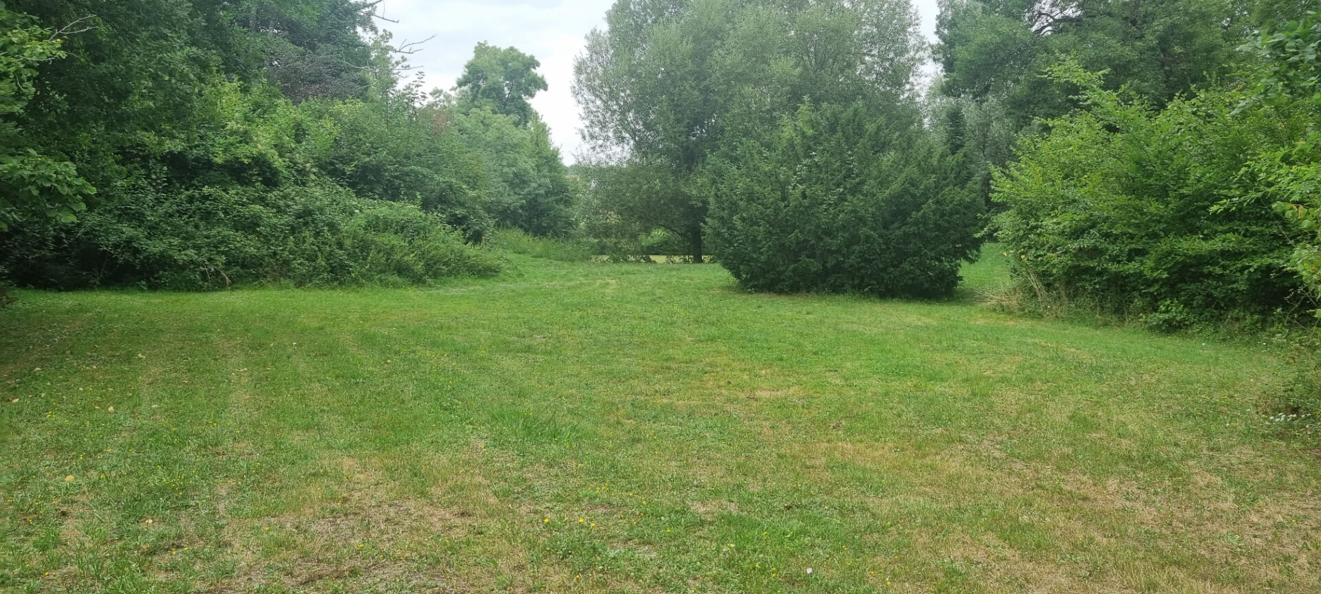 Terrain CELLETTES (41120) 9754.00 m²