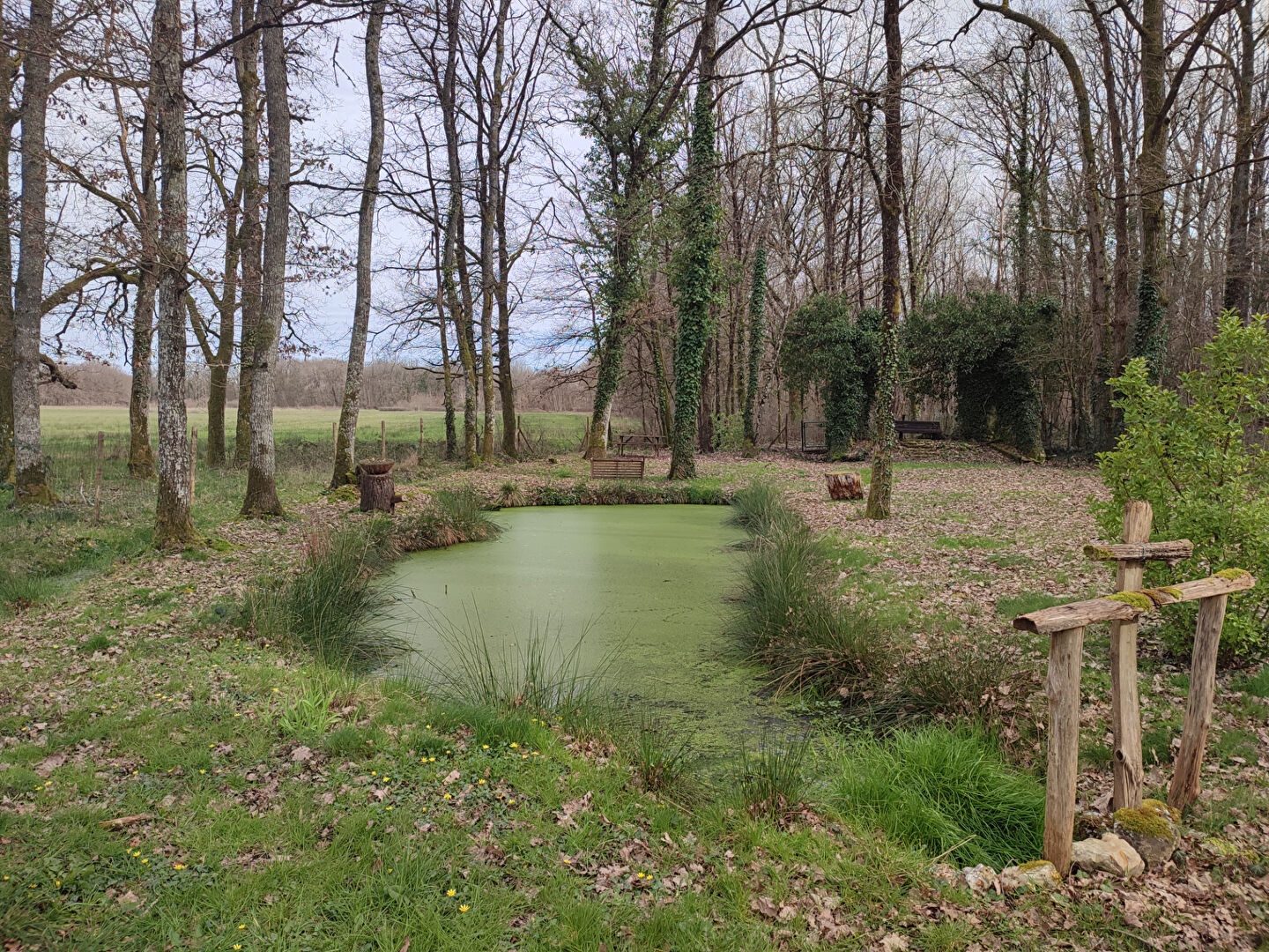 Terrain LAMOTTE BEUVRON (41600) 2760.00 m²