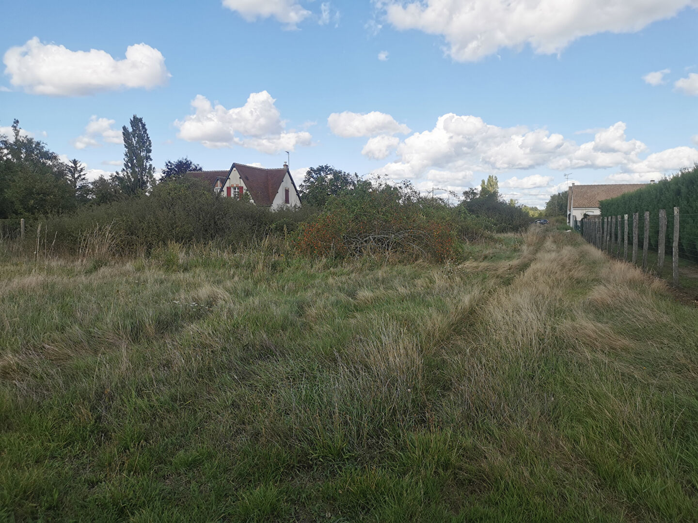Terrain MASLIVES (41250) 2960.00 m²