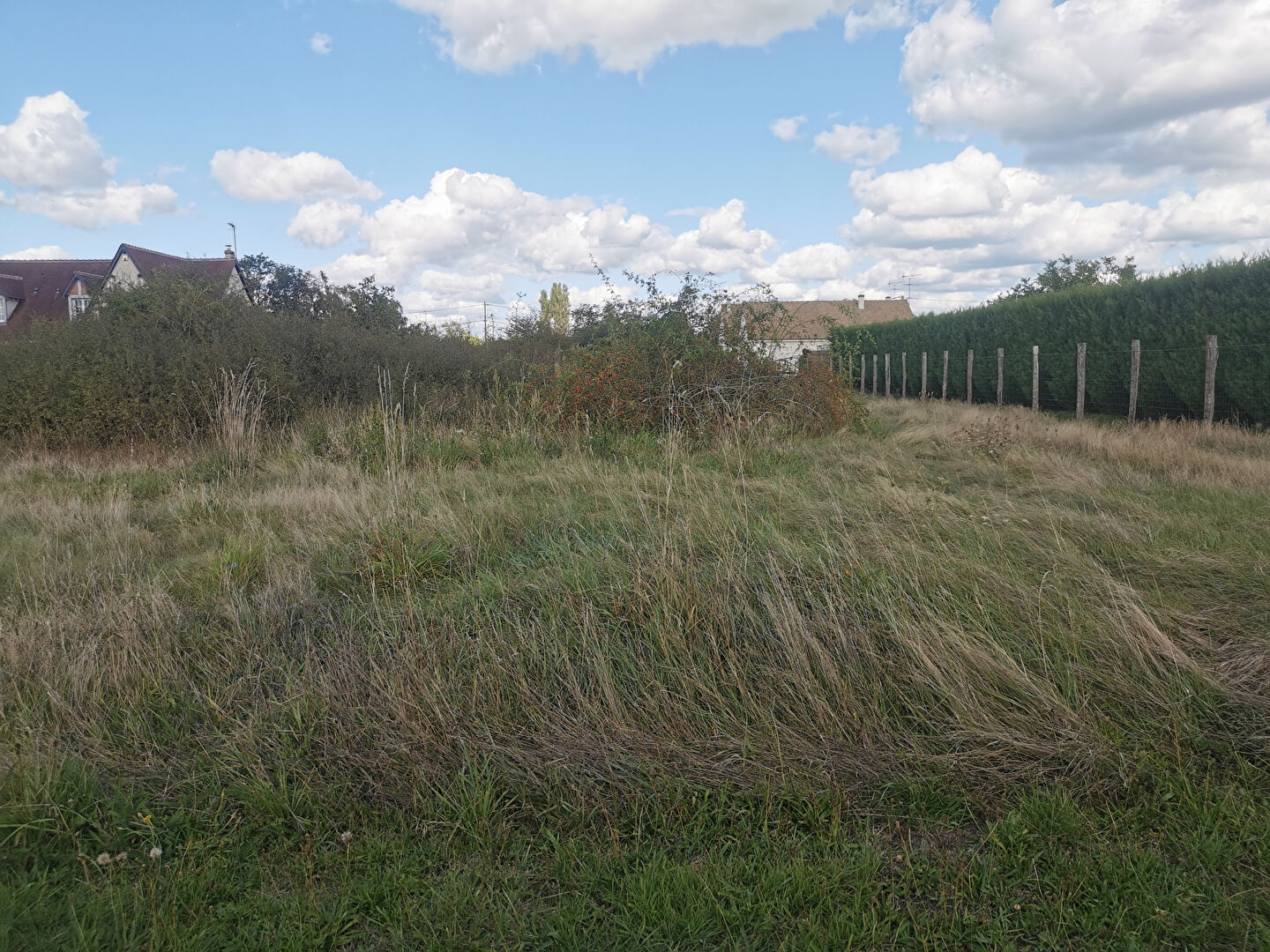 Terrain MASLIVES (41250) 2960.00 m²