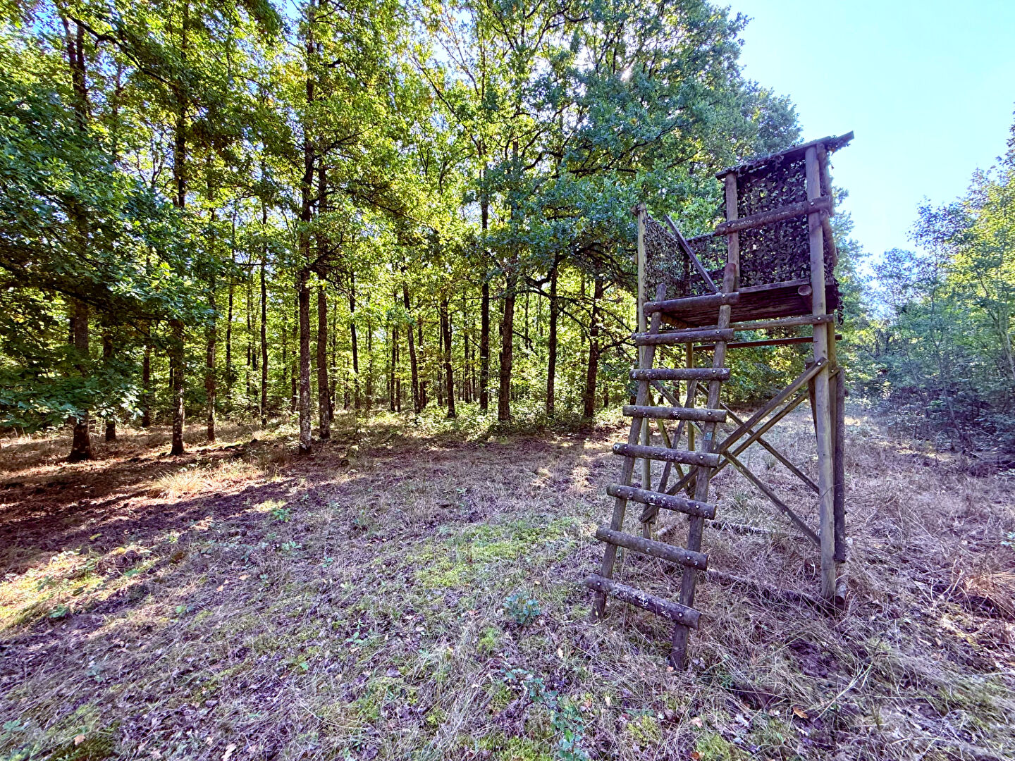Domaine forestier LA FERTE SAINT AUBIN (45240) 329255.00 m²