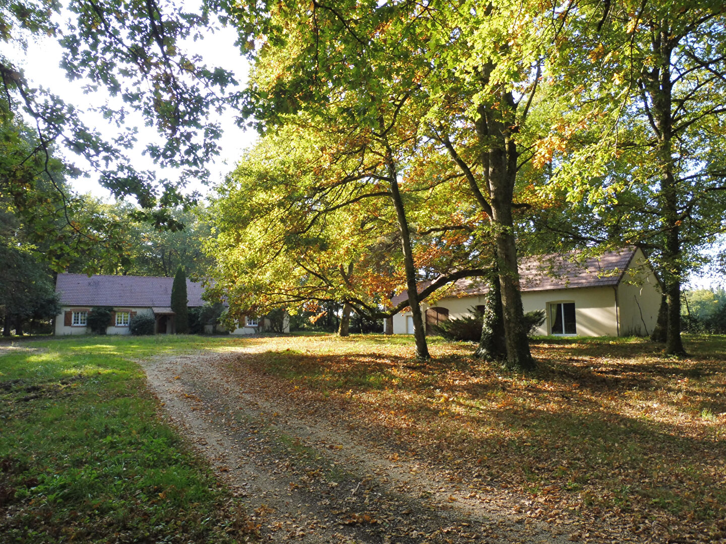 Maison LAMOTTE BEUVRON (41600) 9 pièces 228.00 m²