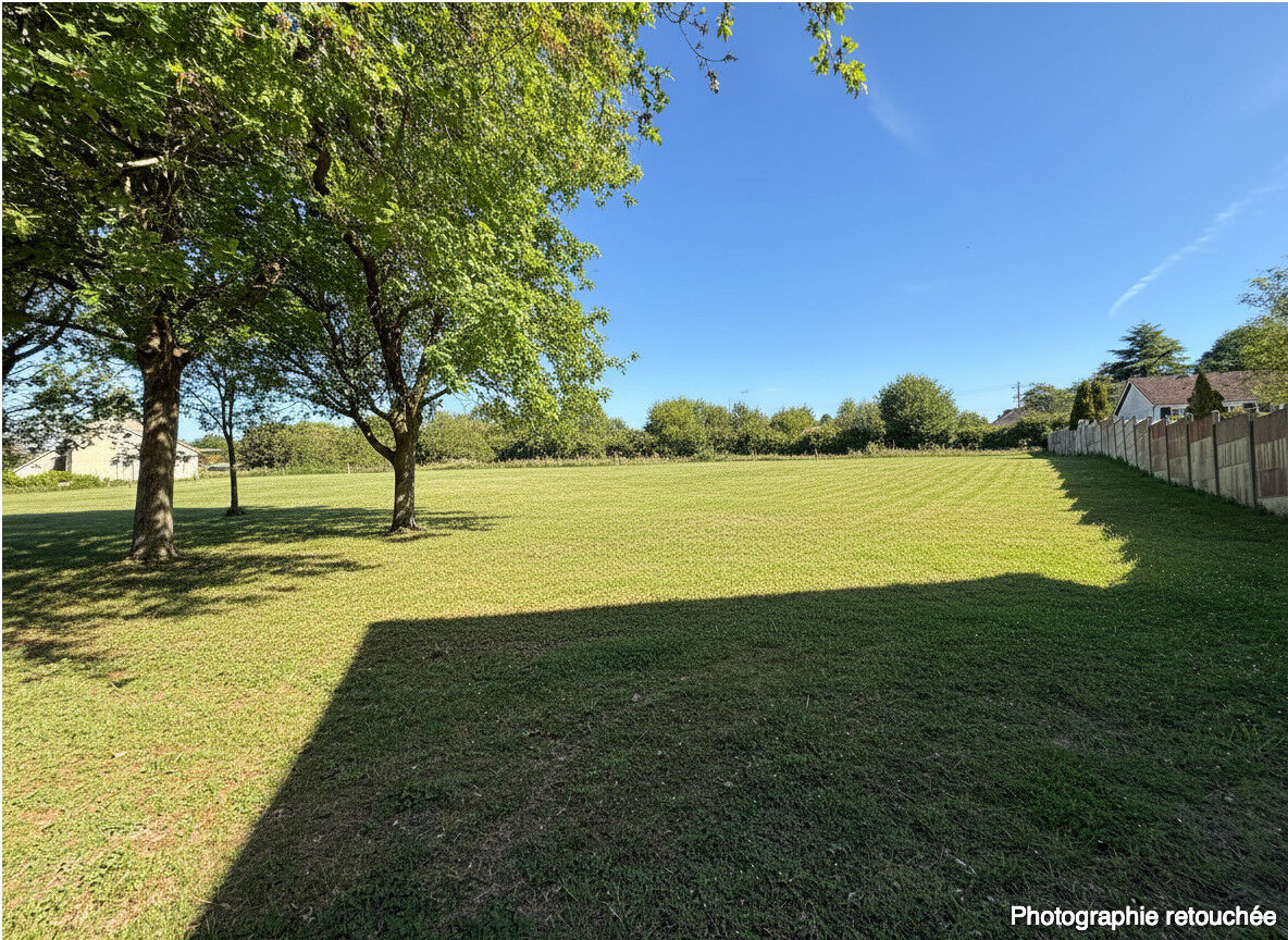 Terrain MENNETOU SUR CHER (41320)