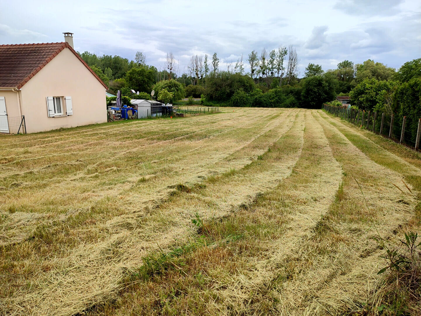 Terrain SAINT GEORGES SUR CHER (41400) 2400.00 m²