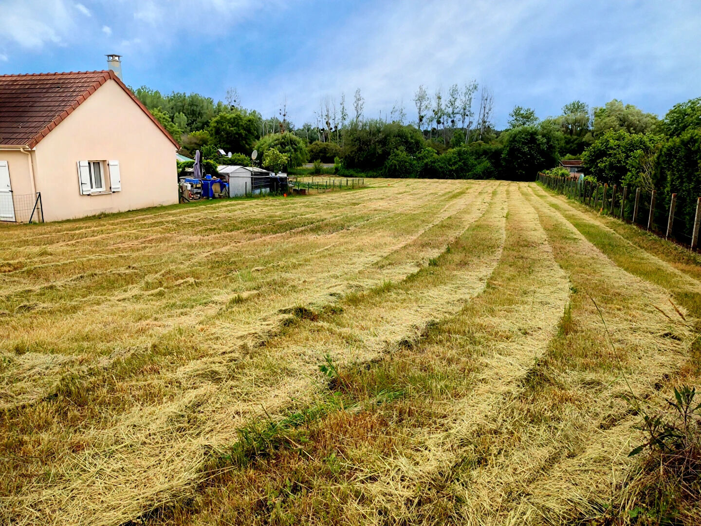 Terrain SAINT GEORGES SUR CHER (41400) 2400.00 m²