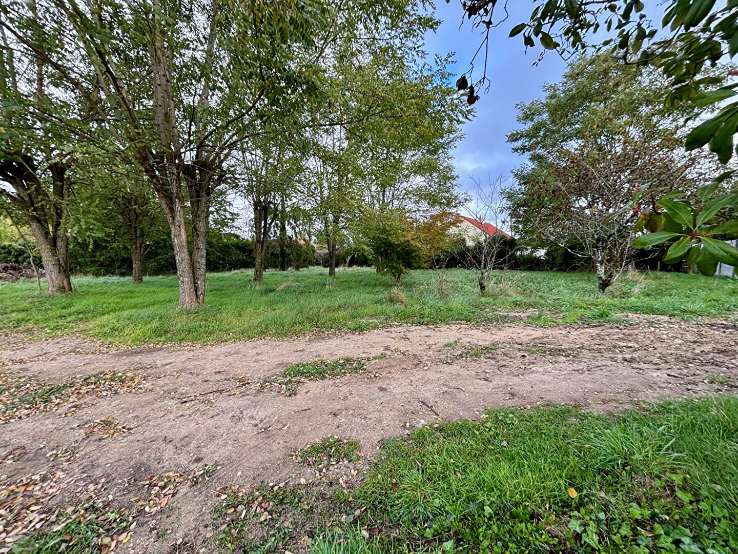Terrain CELLETTES (41120) 1312.00 m²