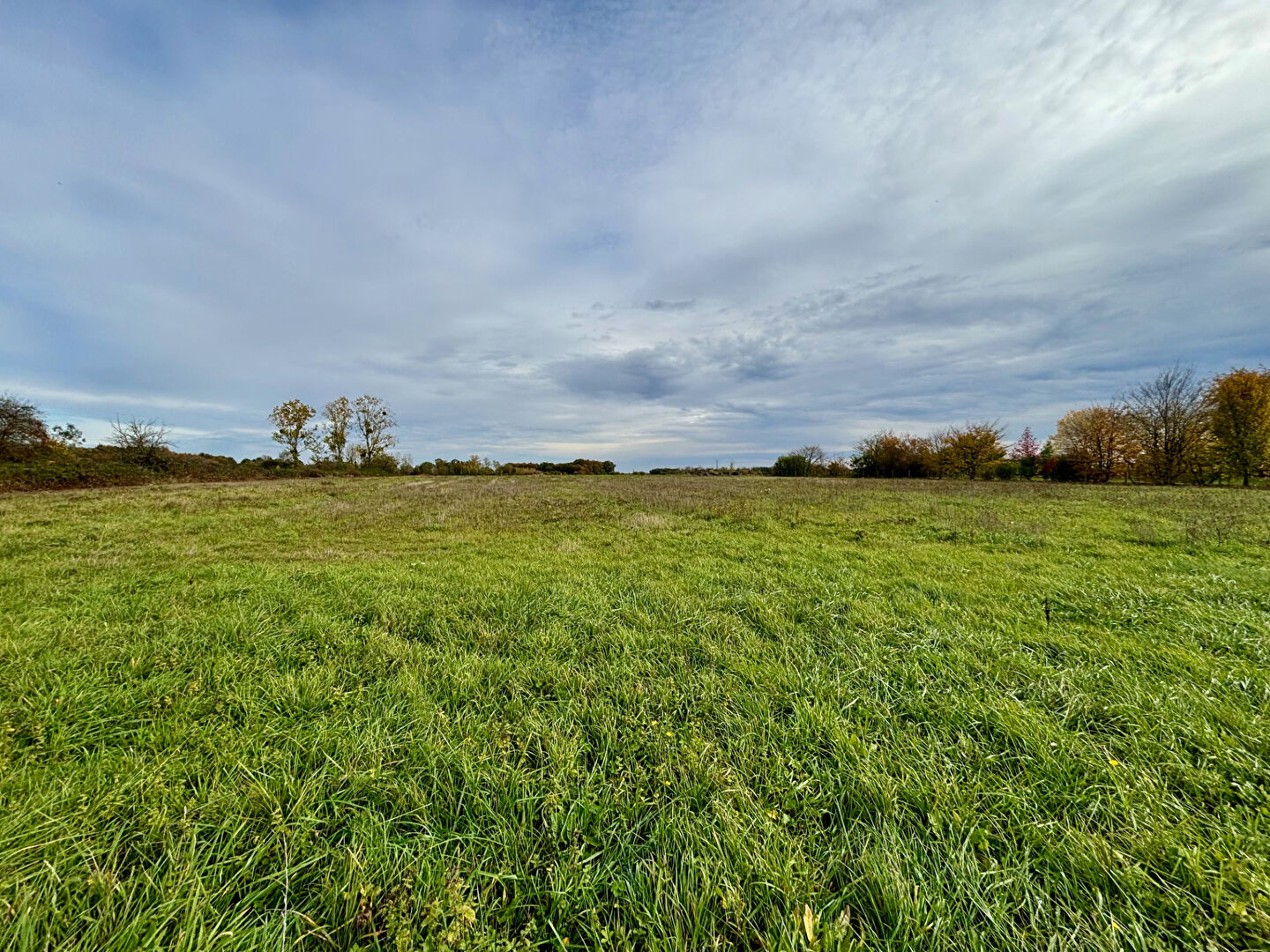 Terrain SOINGS EN SOLOGNE (41230) 6030.00 m²