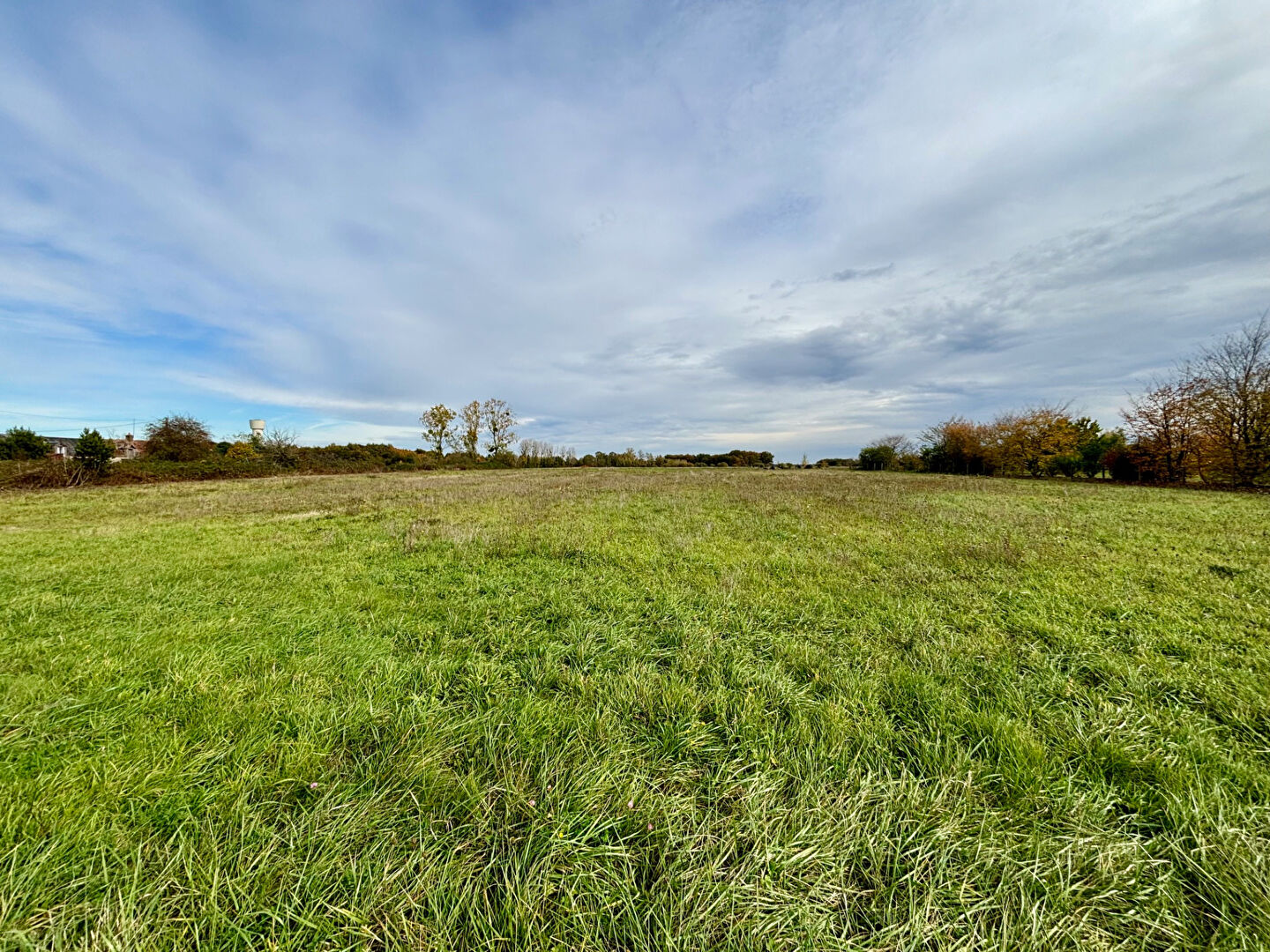 Terrain SOINGS EN SOLOGNE (41230) 3000.00 m²