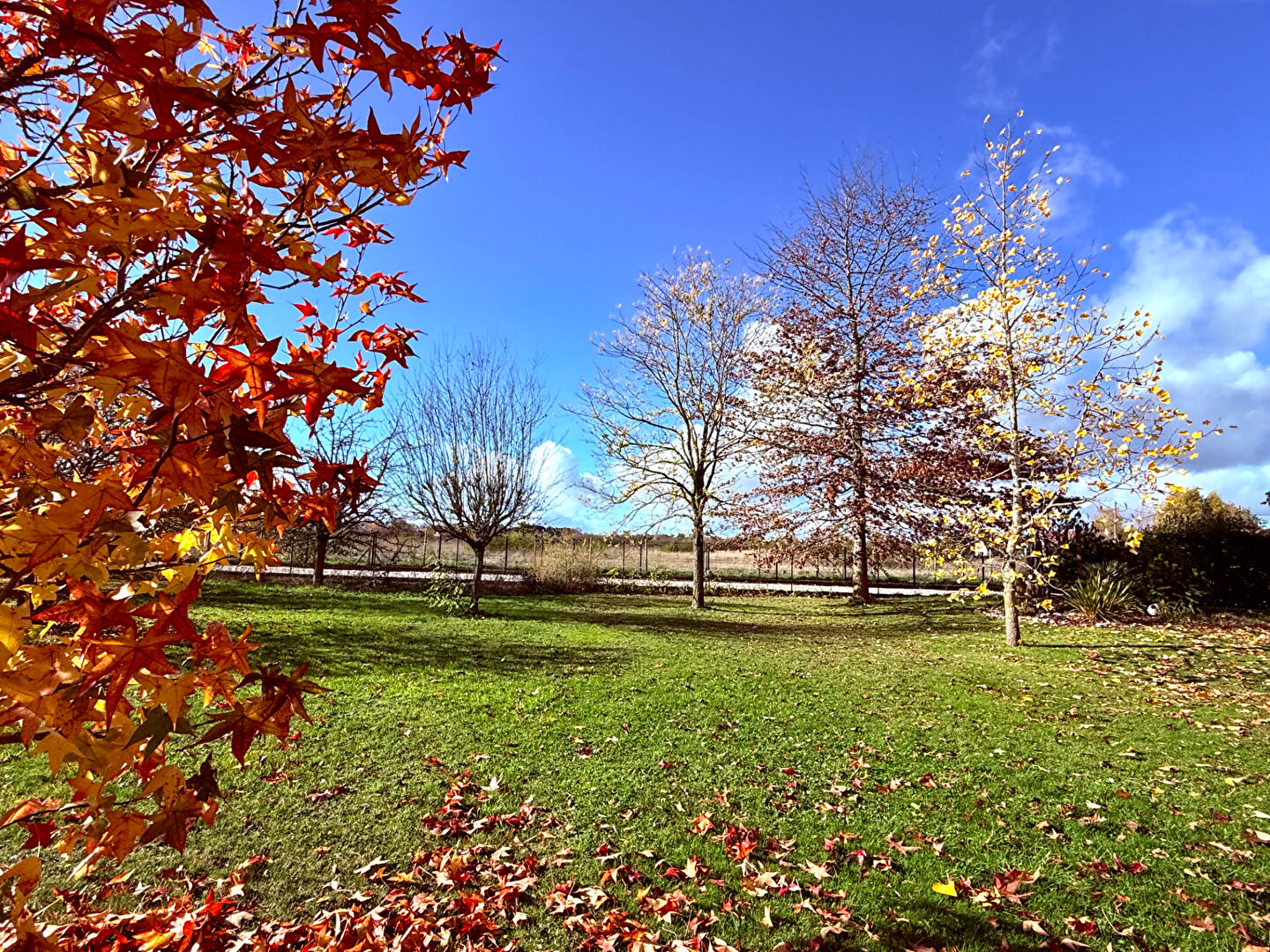 Terrain SAINT DENIS EN VAL (45560) 1000.00 m²