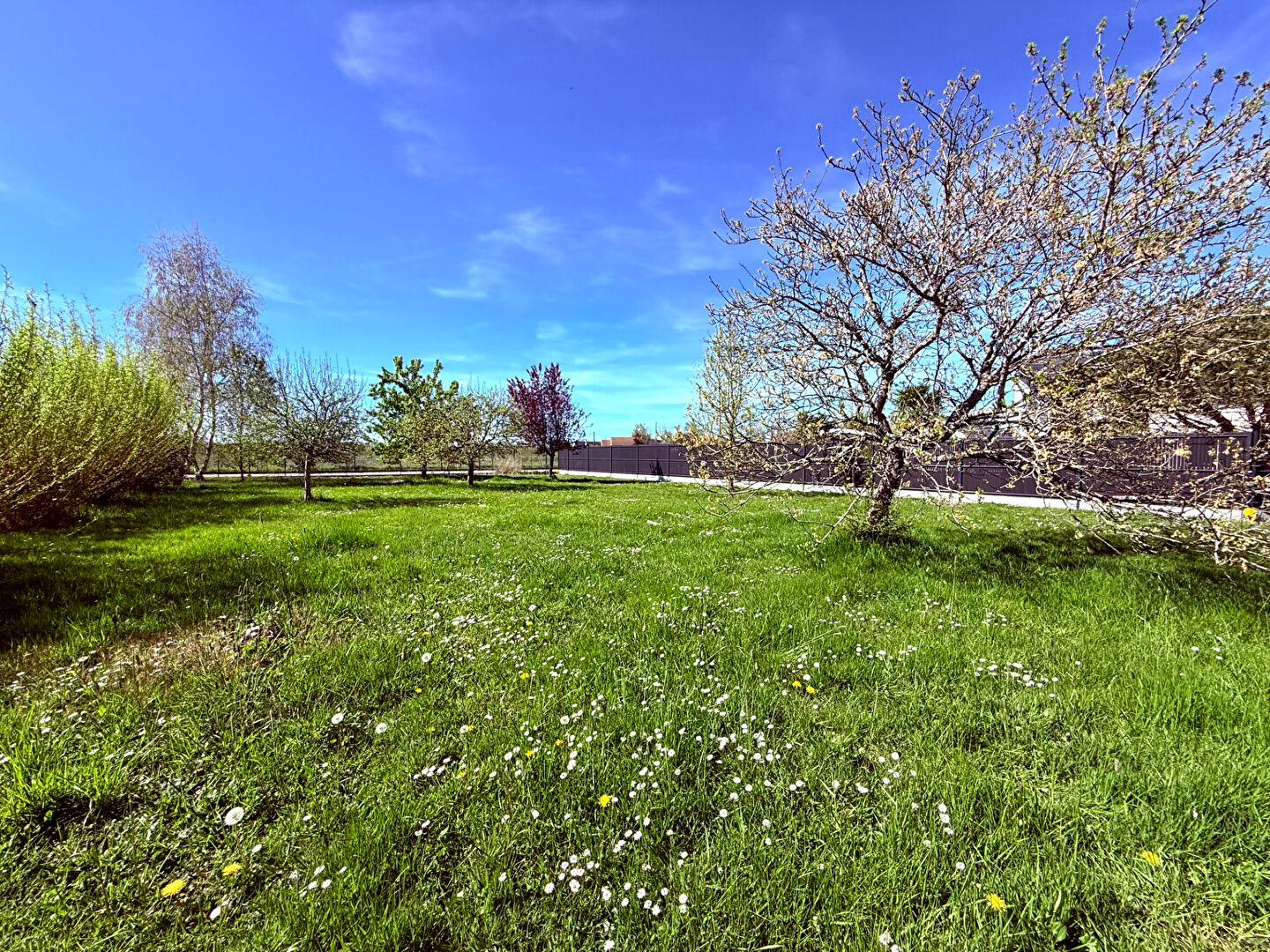 Terrain SAINT DENIS EN VAL (45560) 1000.00 m&sup2;