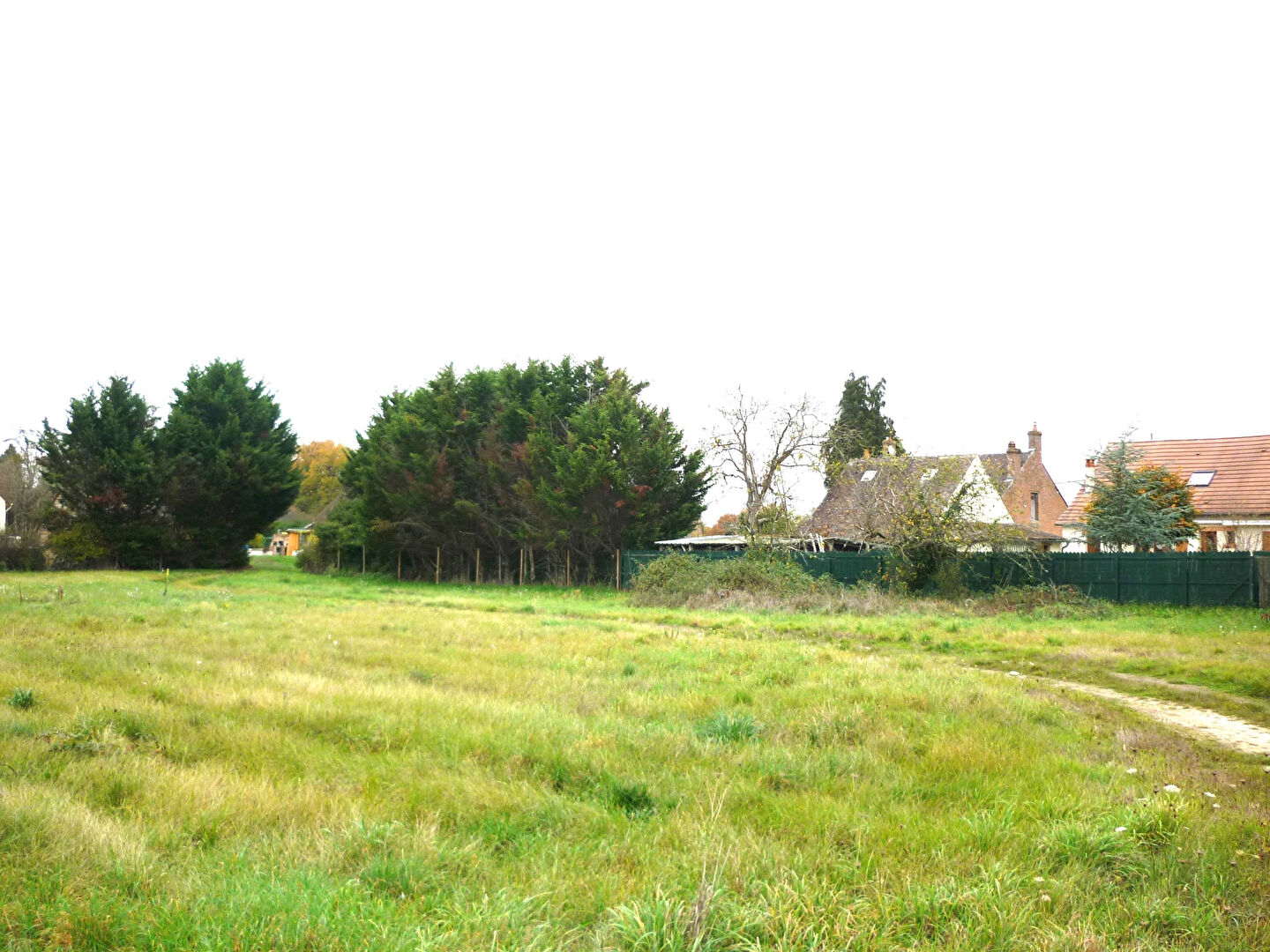 Terrain SAINT VIATRE (41210) 1287.00 m²