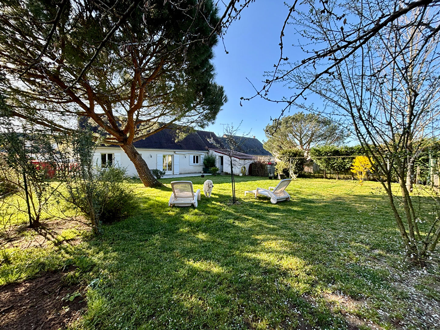 Maison LE CONTROIS EN SOLOGNE (41700) 6 pi&egrave;ces 117.00 m&sup2;