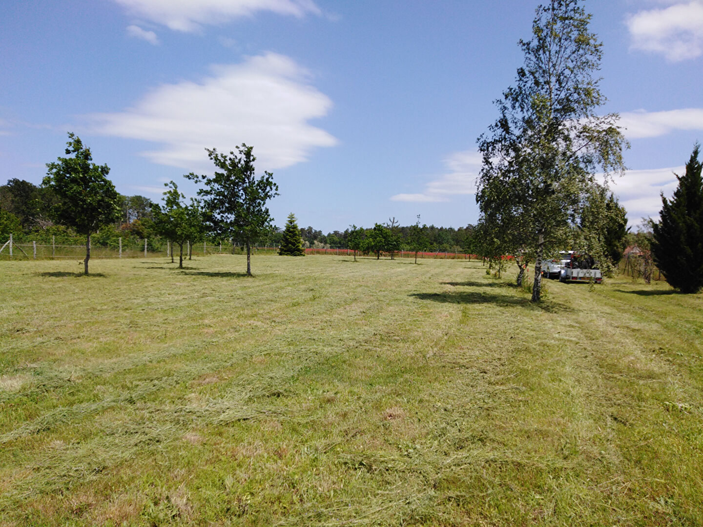 Terrain CHAUMONT SUR THARONNE (41600) 2993.00 m²