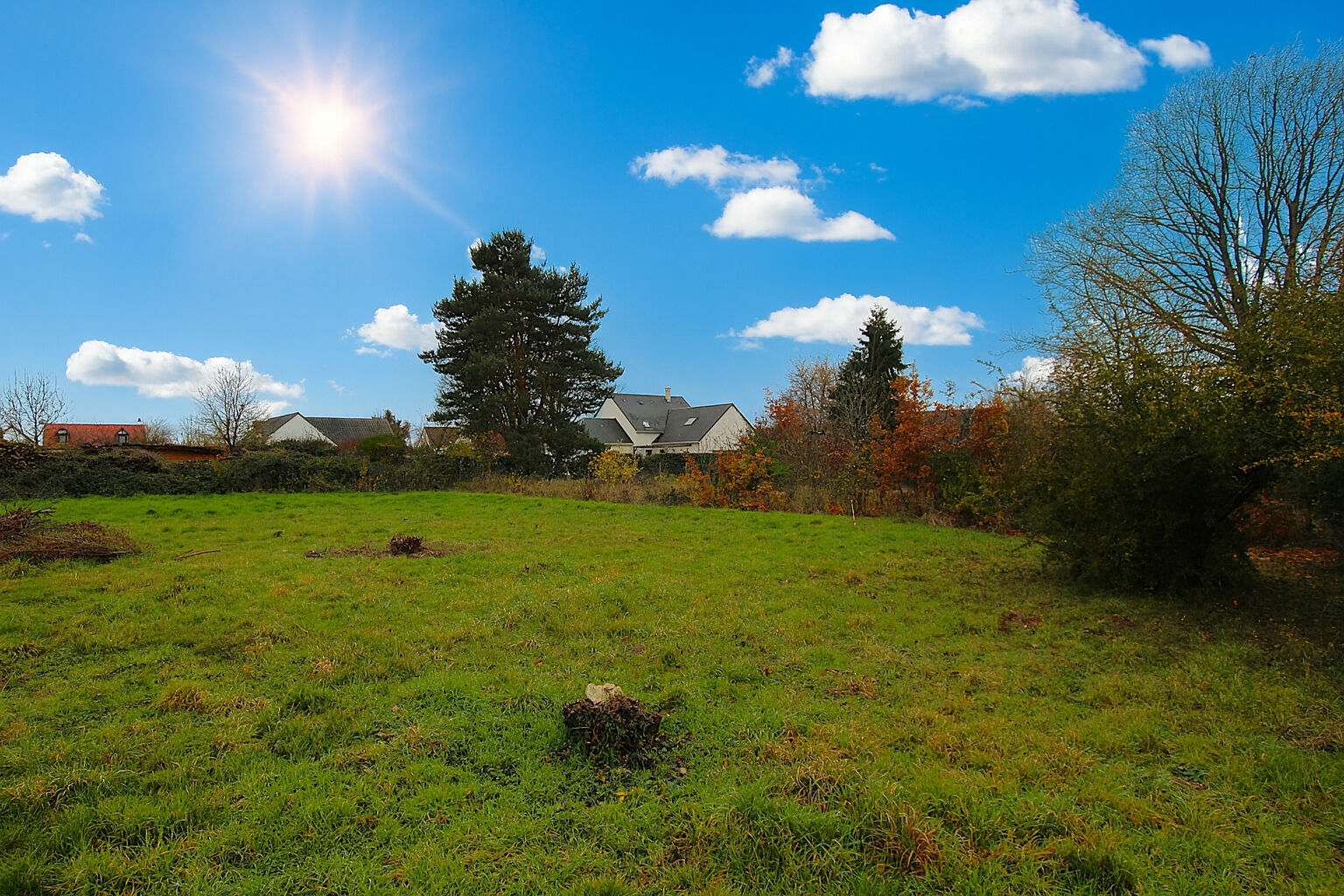 Terrain CHAILLES (41120) 799.00 m&sup2;