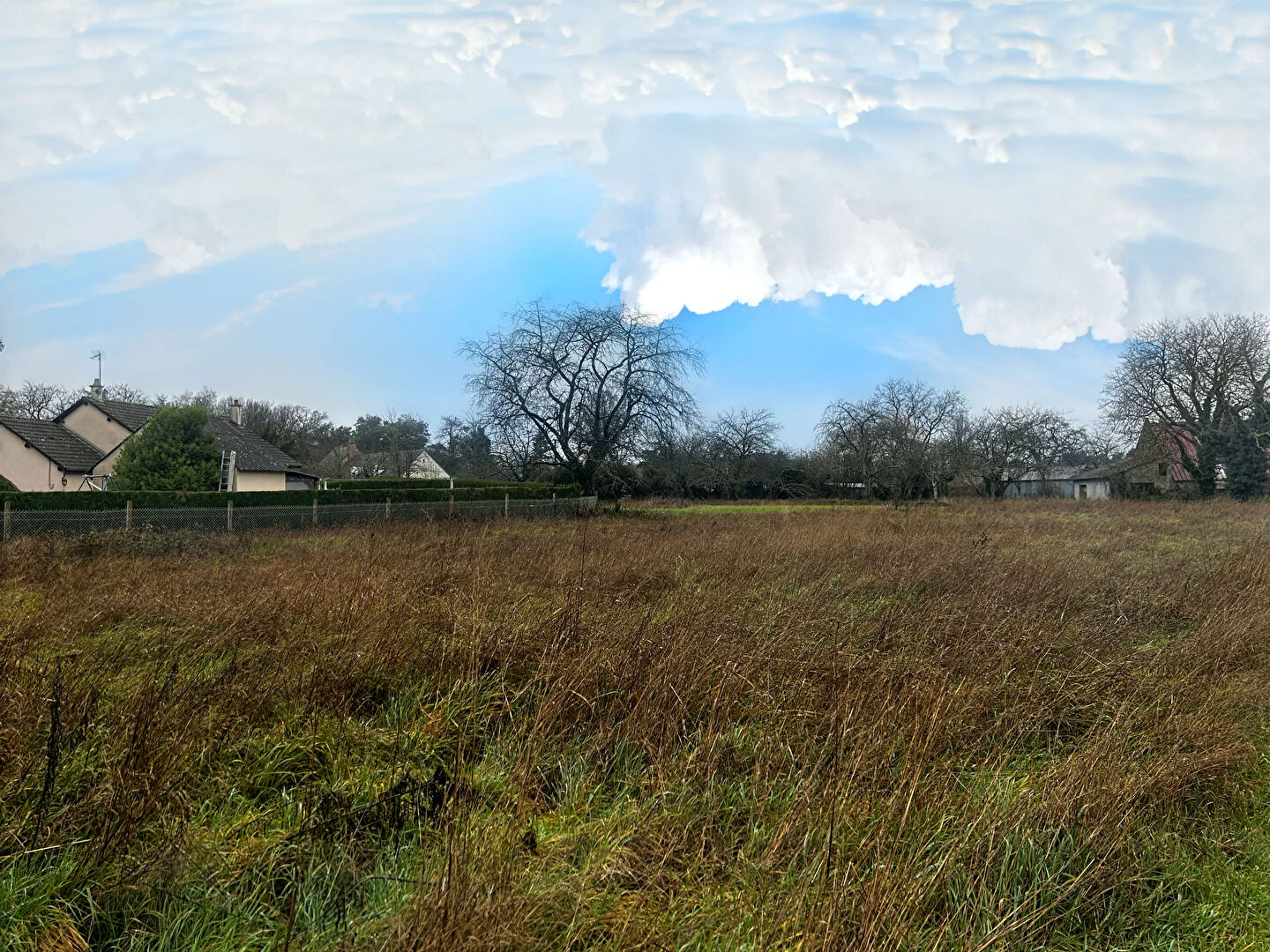 Terrain LE CONTROIS EN SOLOGNE (41400) 1641.00 m&sup2;