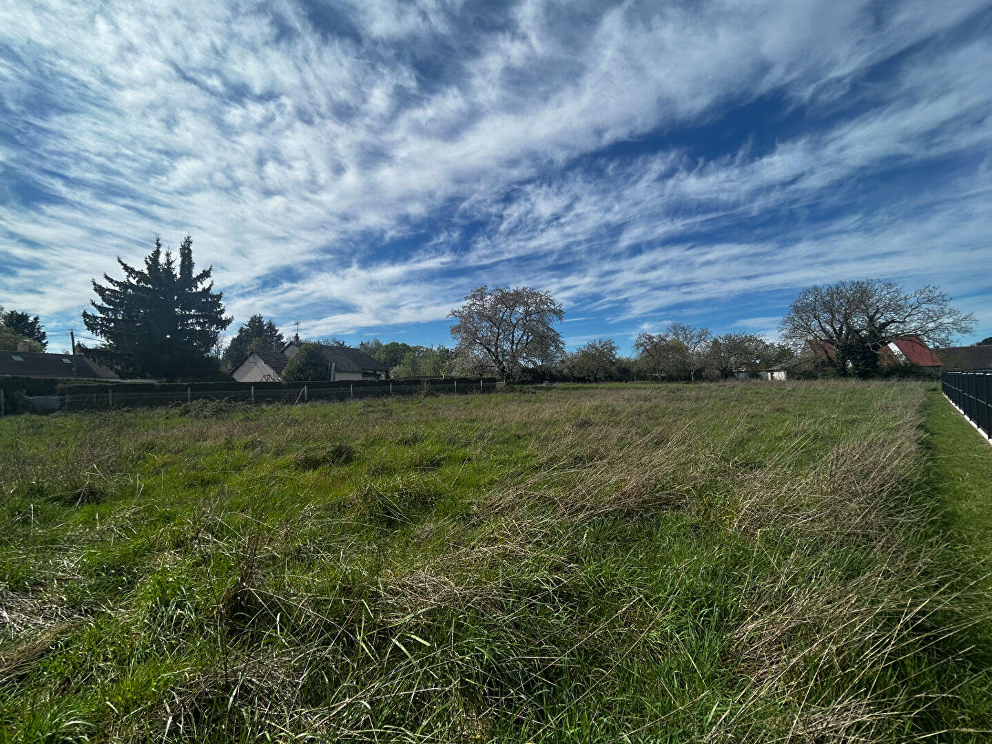 Terrain LE CONTROIS EN SOLOGNE (41400) 1641.00 m&sup2;