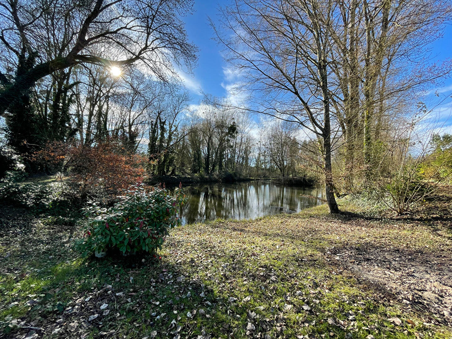 Etang LE CONTROIS EN SOLOGNE (41700) 2 pi&egrave;ces