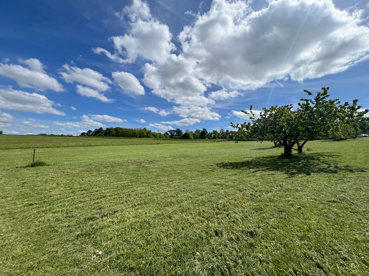 Terrain CHISSAY EN TOURAINE (41400) 5320.00 m&sup2;