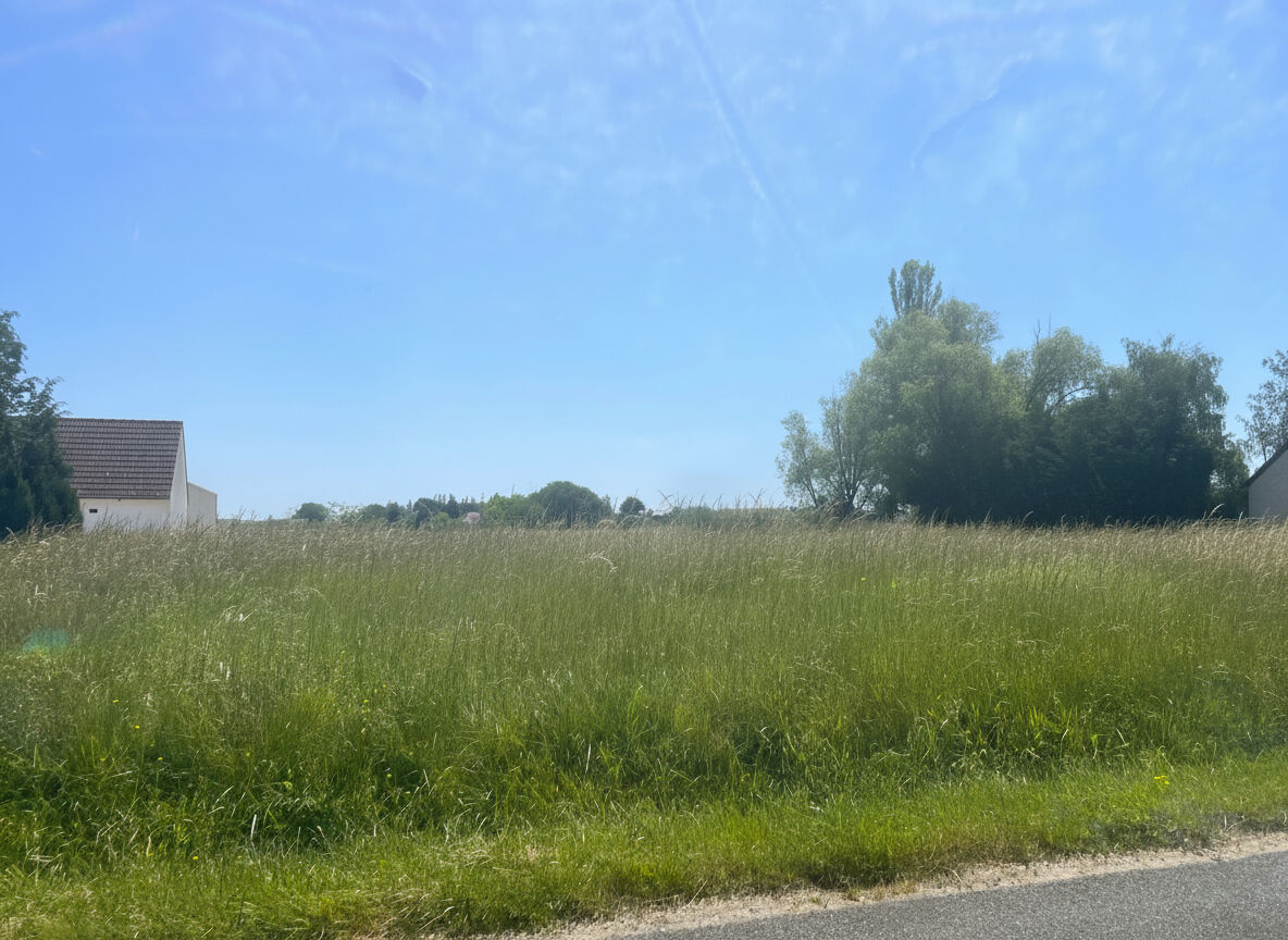 Terrain LE CONTROIS EN SOLOGNE (41120) 3850.00 m&sup2;