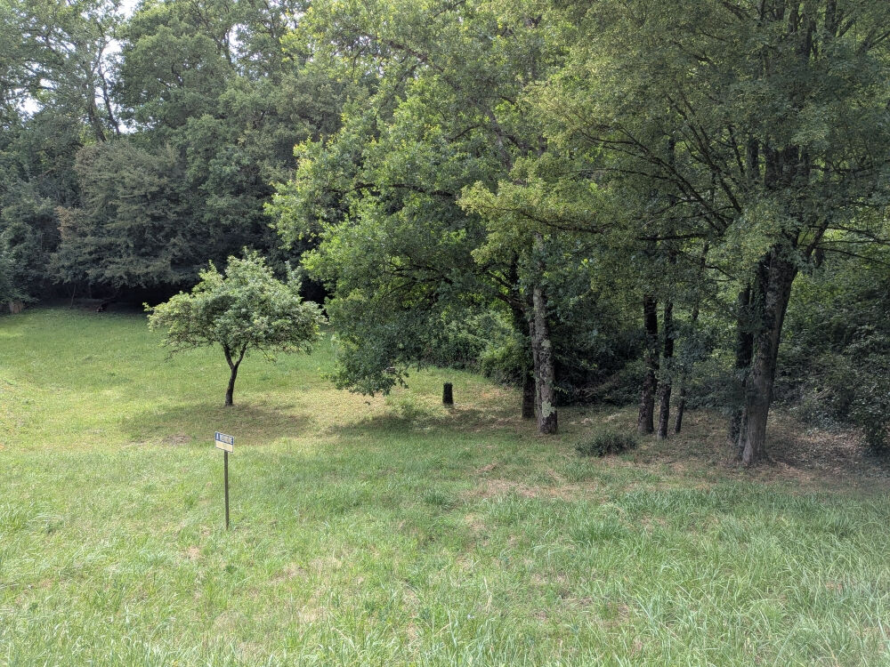 Terrain VEUZAIN SUR LOIRE (41150) 1001.00 m&sup2;