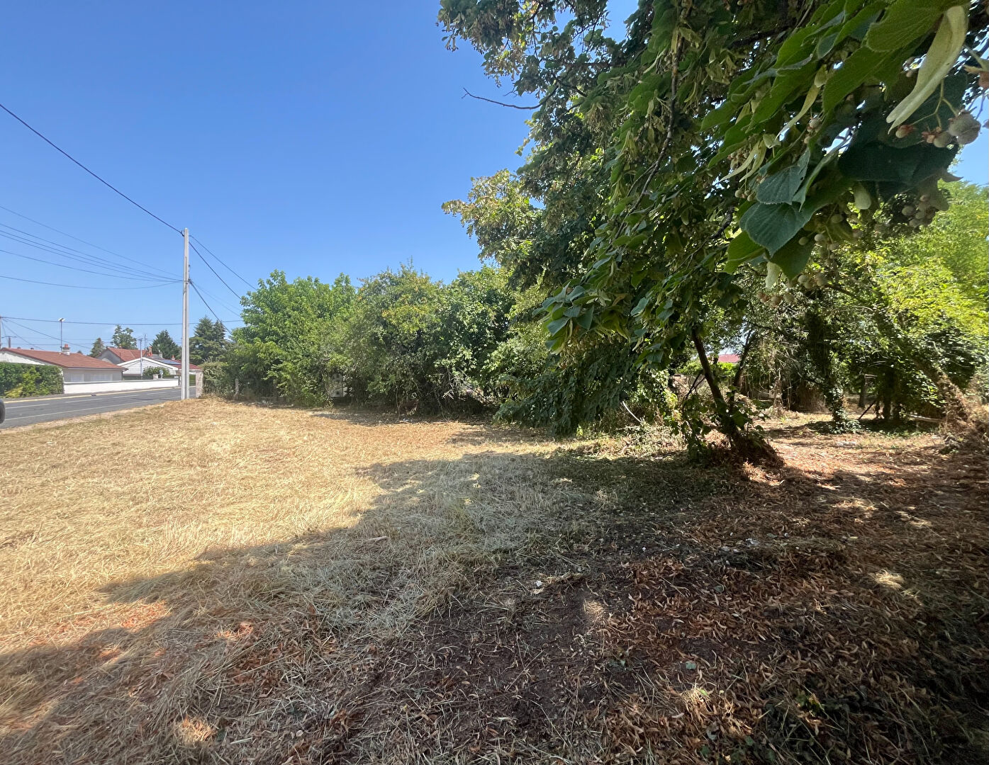 Terrain VINEUIL (41350) 4 pi&egrave;ces 2222.00 m&sup2;