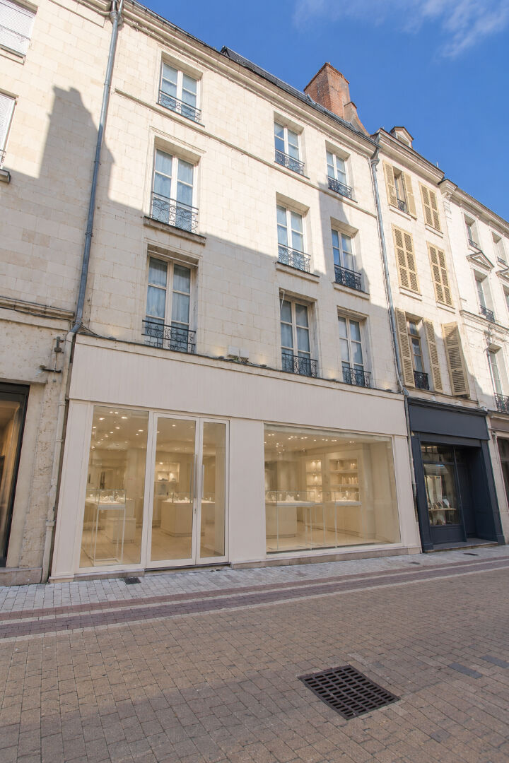 Immeuble BLOIS (41000) 12 pi&egrave;ces 290.00 m&sup2;