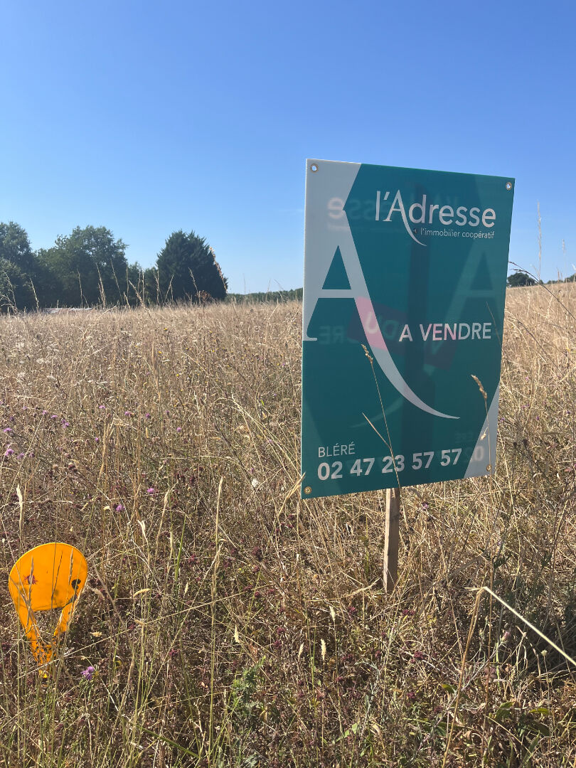 Terrain LA CROIX EN TOURAINE (37150) 748.00 m&sup2;