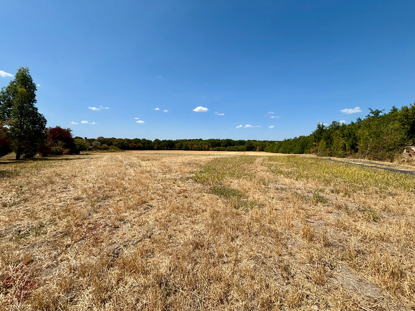 Terrain CHEMERY (41700) 15517.00 m&sup2;