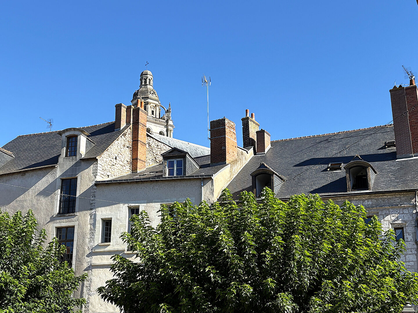 Appartement BLOIS (41000) 5 pi&egrave;ces 117.00 m&sup2;
