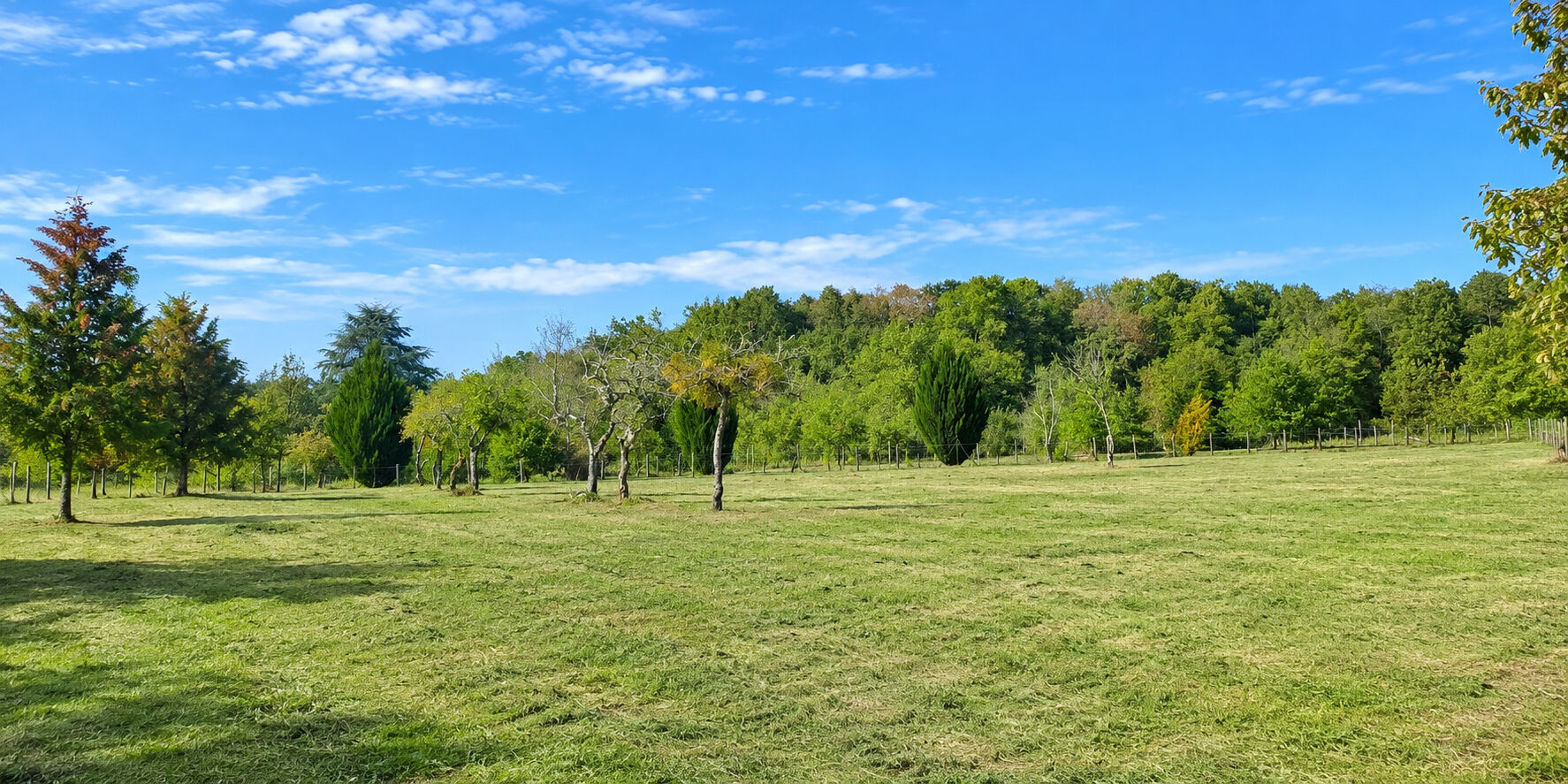 Terrain CHAUMONT SUR THARONNE (41600) 3034.00 m&sup2;