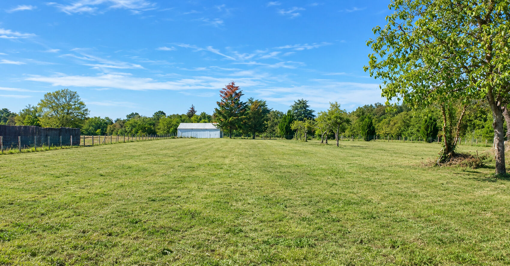Terrain CHAUMONT SUR THARONNE (41600) 3177.00 m&sup2;