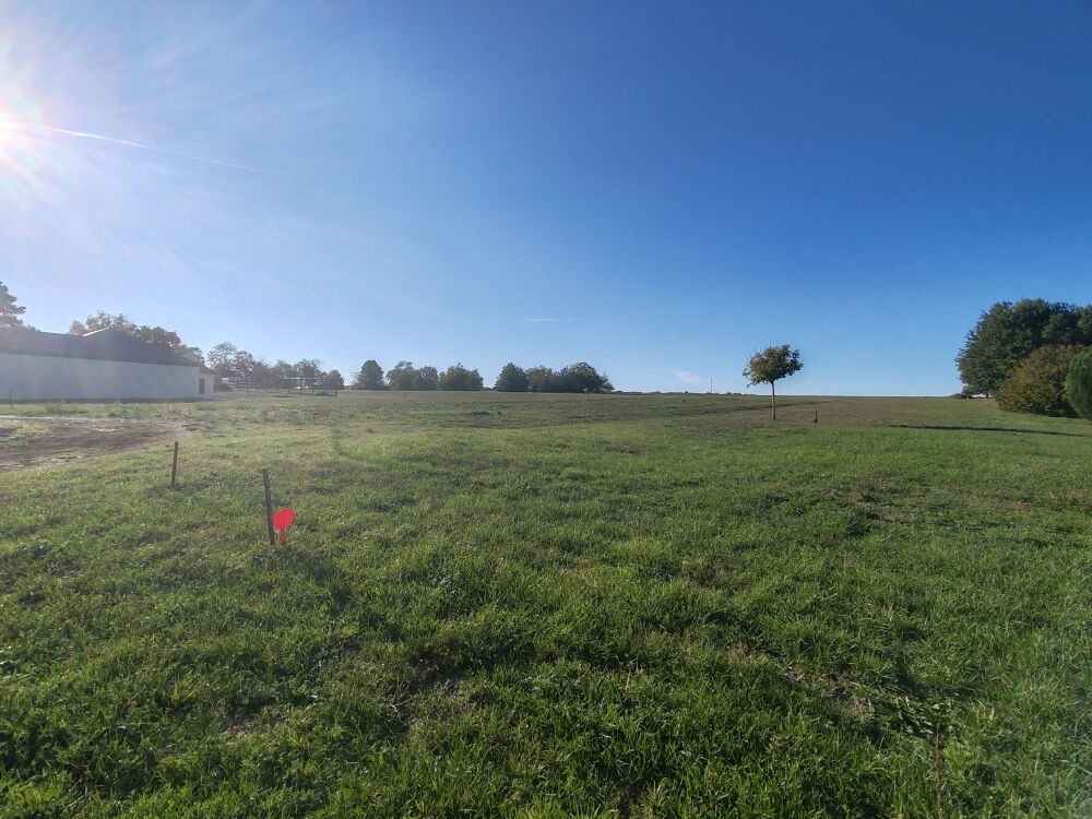Terrain SEUR (41120) 1325.00 m&sup2;