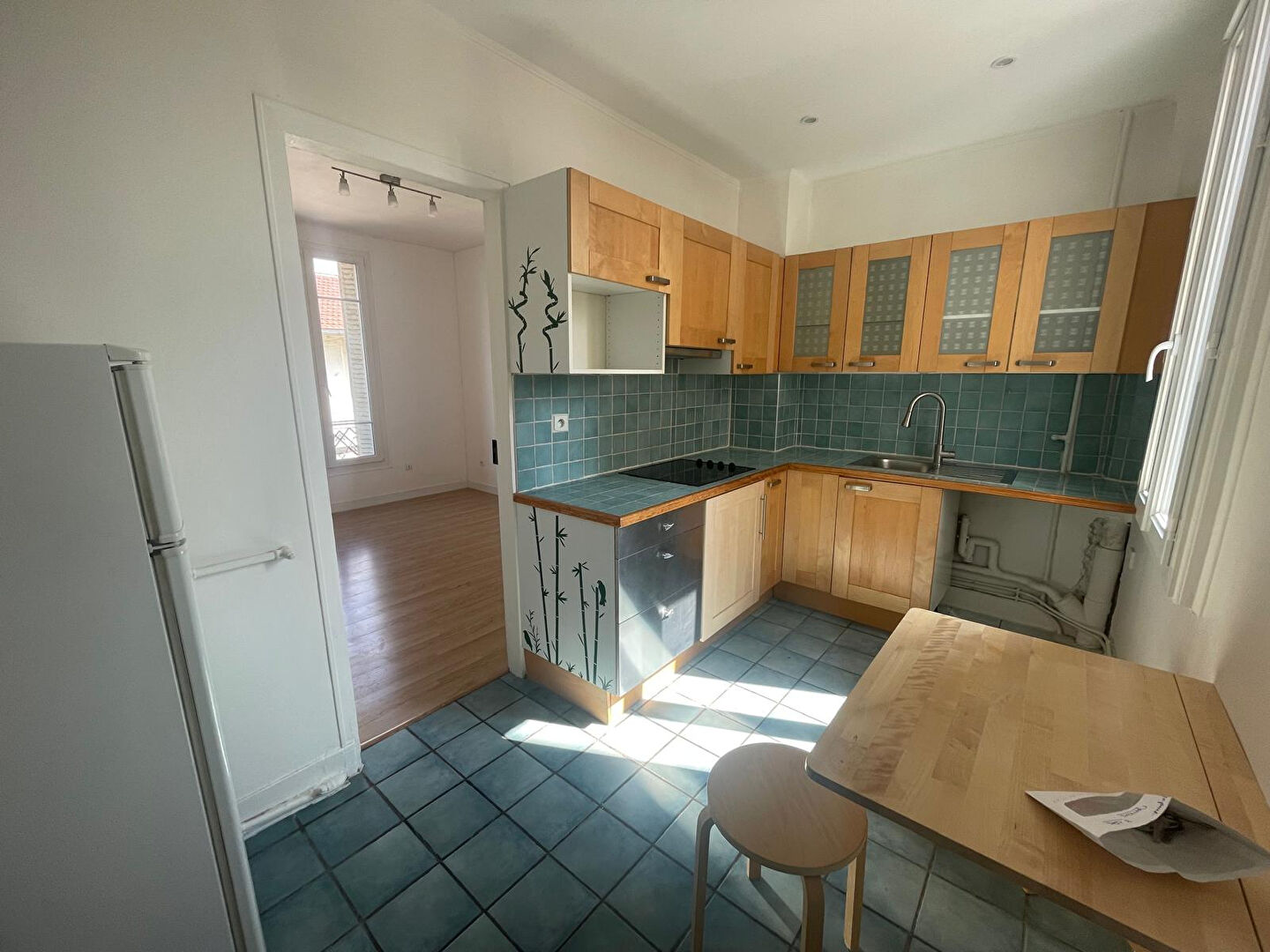 Appartement JOINVILLE LE PONT (94340) 1 pièce 22.21 m²