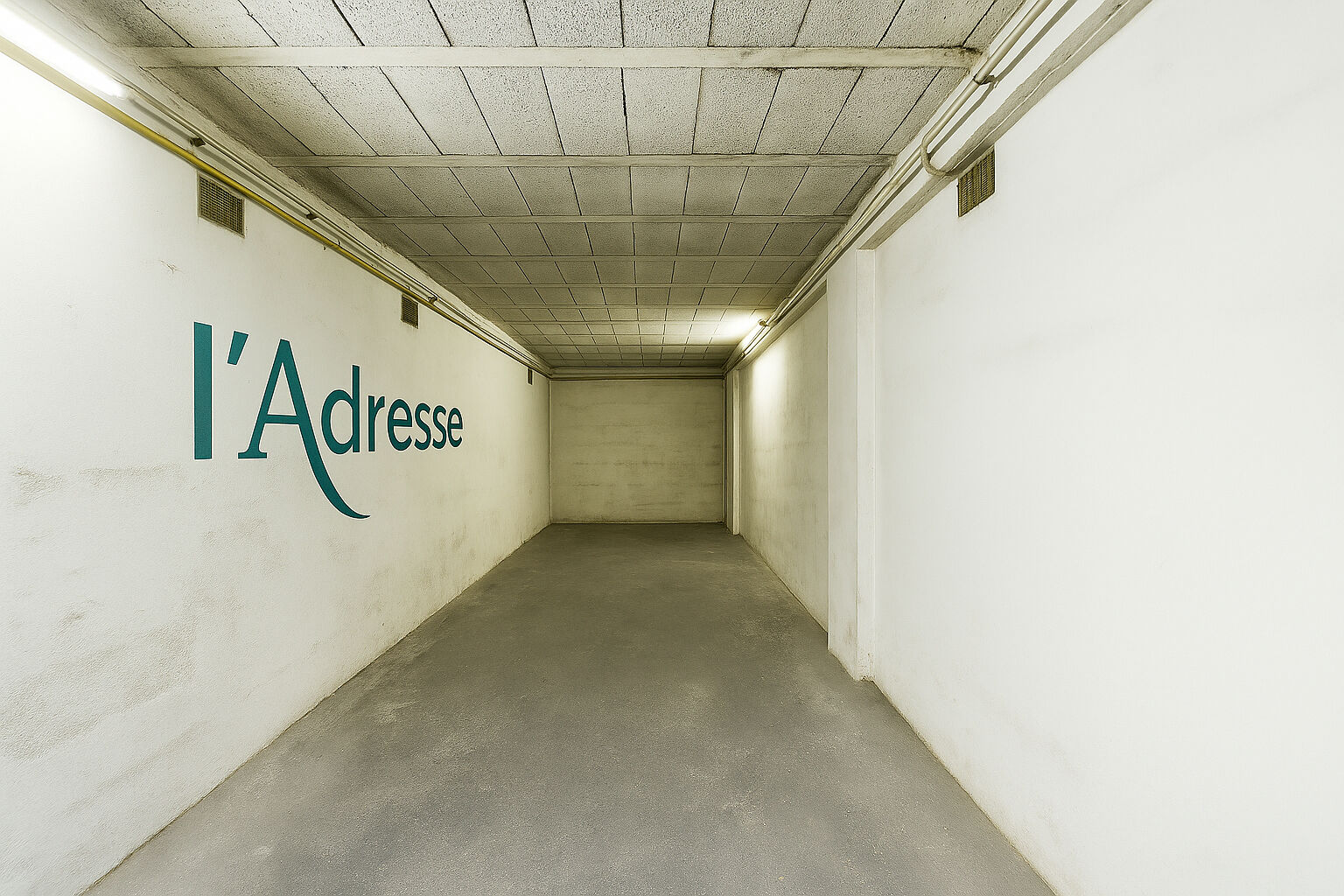 Entrepôt / Local industriel JOINVILLE LE PONT (94340) 21.00 m²