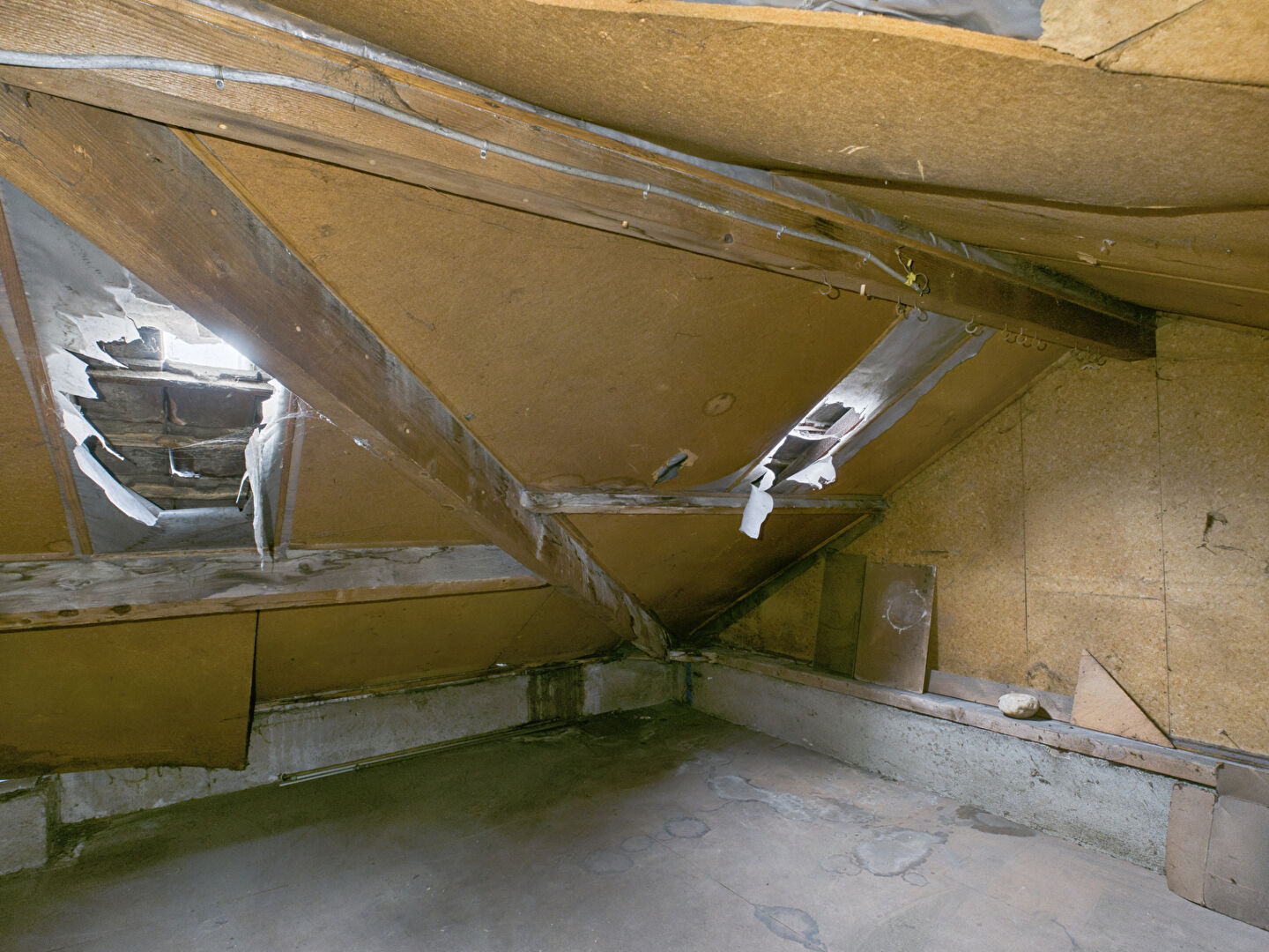 Cave CHAMPIGNY SUR MARNE (94500) 19.00 m&sup2;