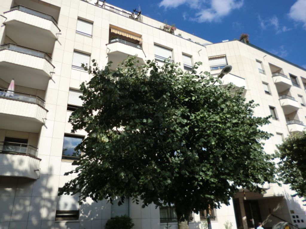 Appartement JOINVILLE LE PONT (94340) 1 pi&egrave;ce 29.00 m&sup2;