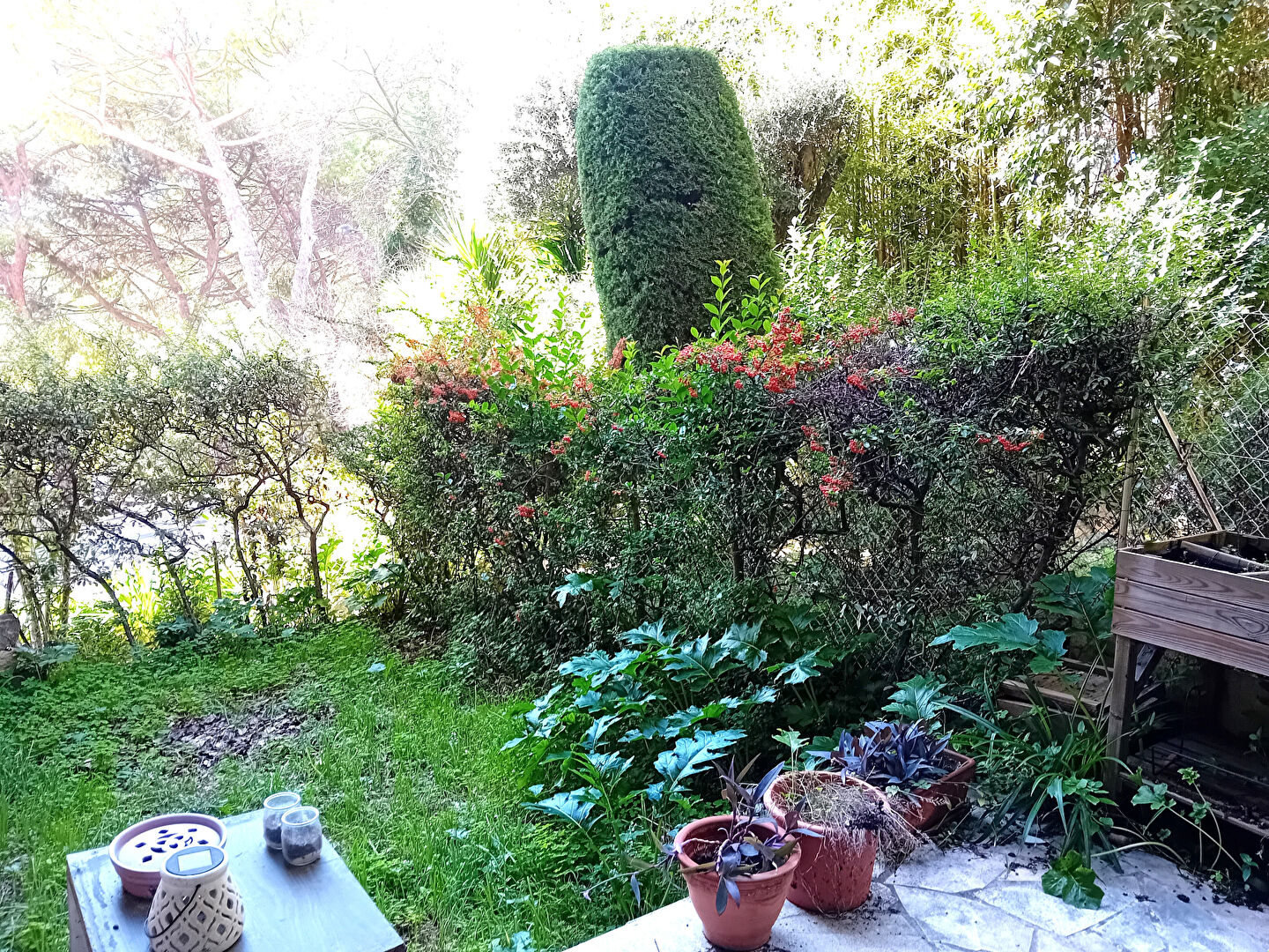 Appartement GRASSE (06130) 2 pièces 54.64 m²