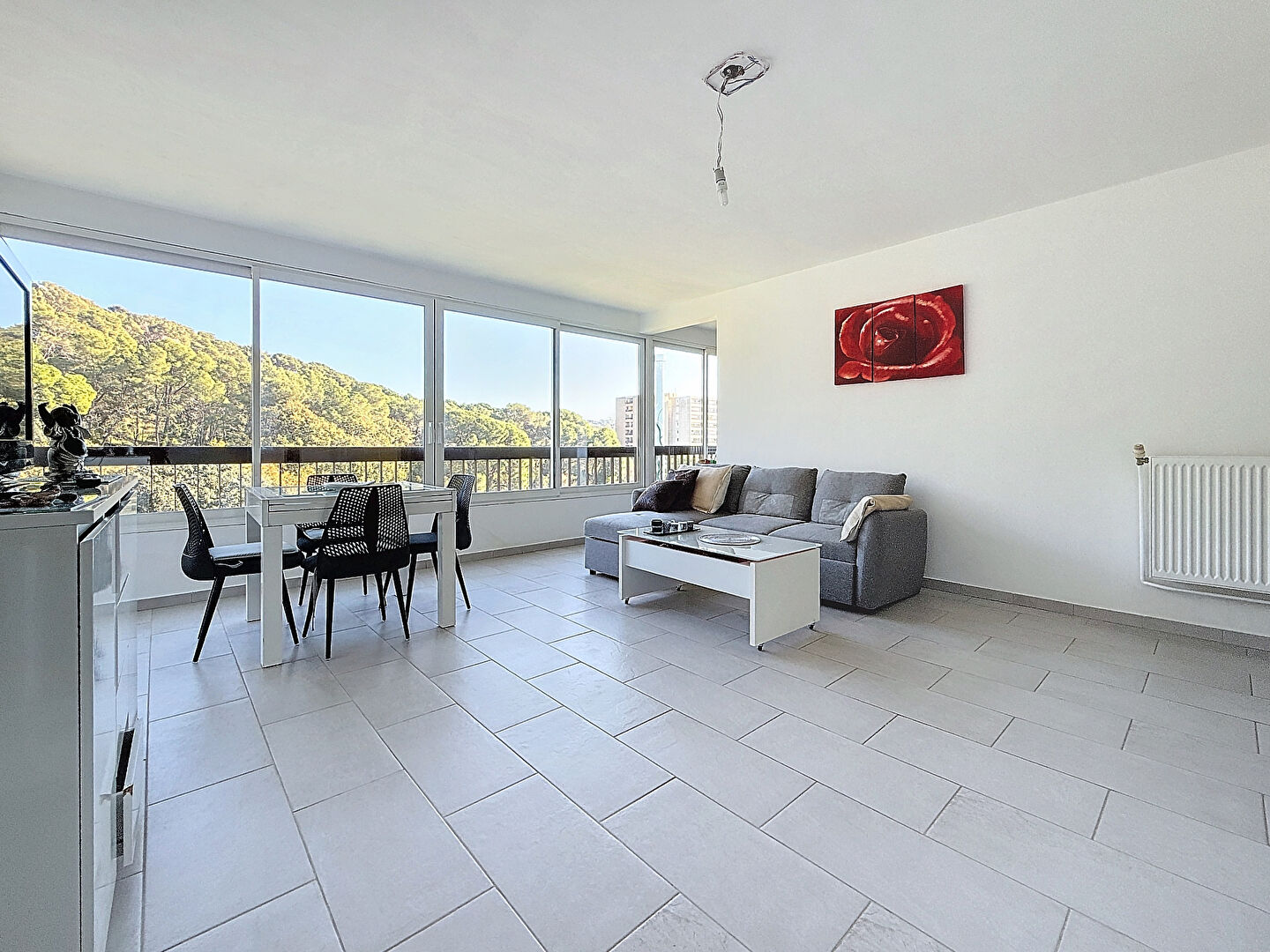 Appartement CANNES LA BOCCA (06150) 3 pièces 67.85 m²