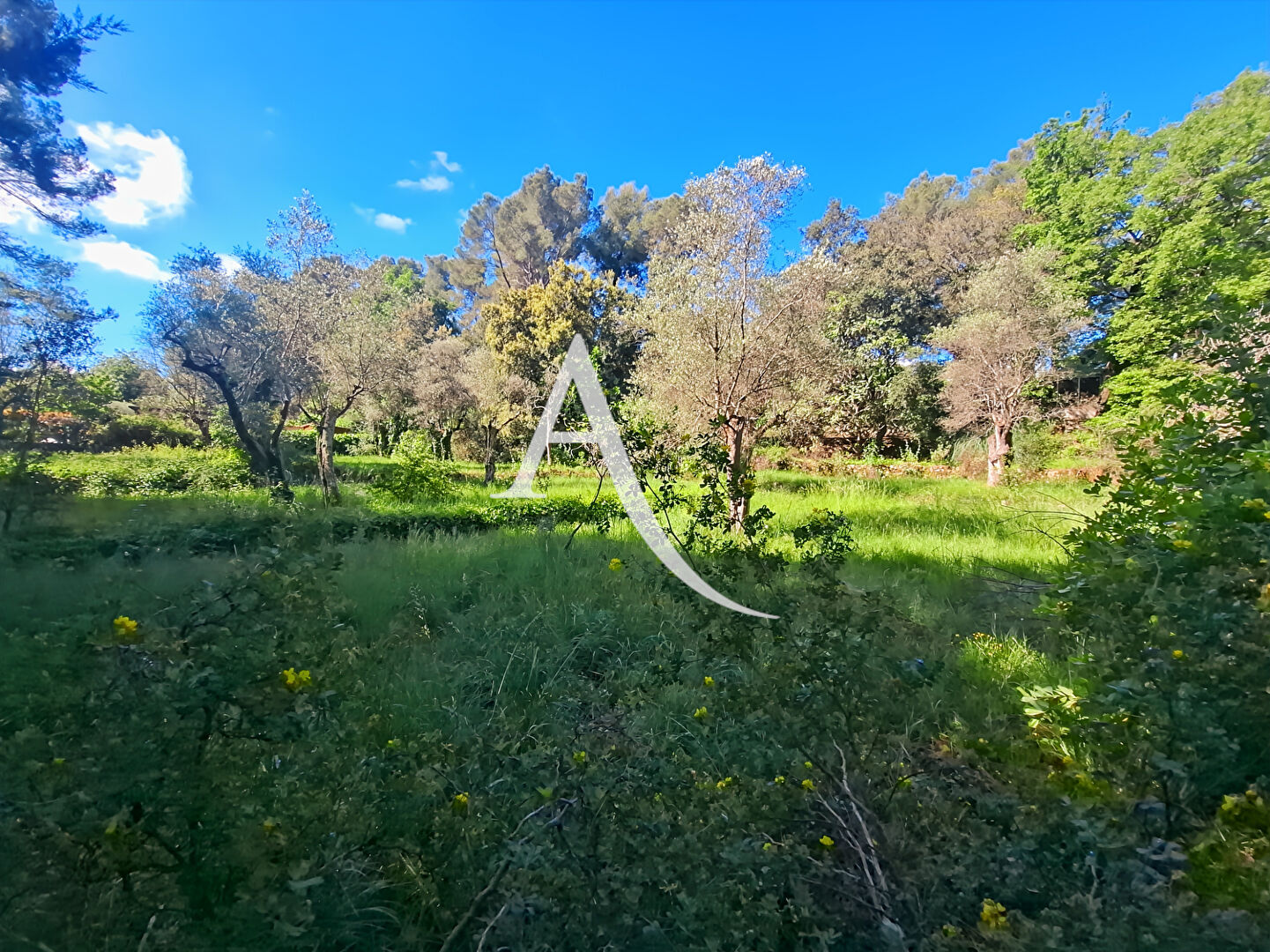Terrain OPIO (06650) 2784.00 m²