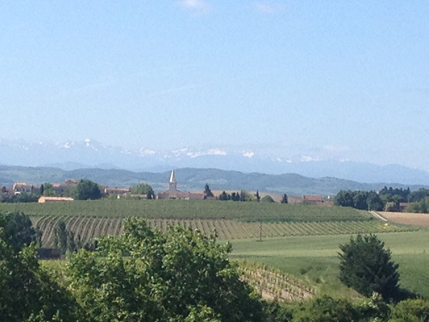 Terrain LASSERRE DE PROUILLE (11270) 1118.00 m²