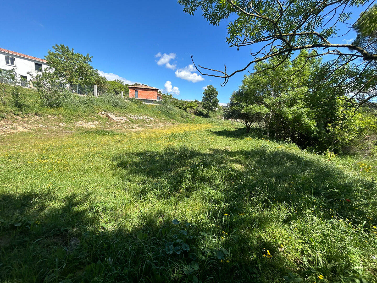 Terrain VILLEFLOURE (11570) 1823.00 m²