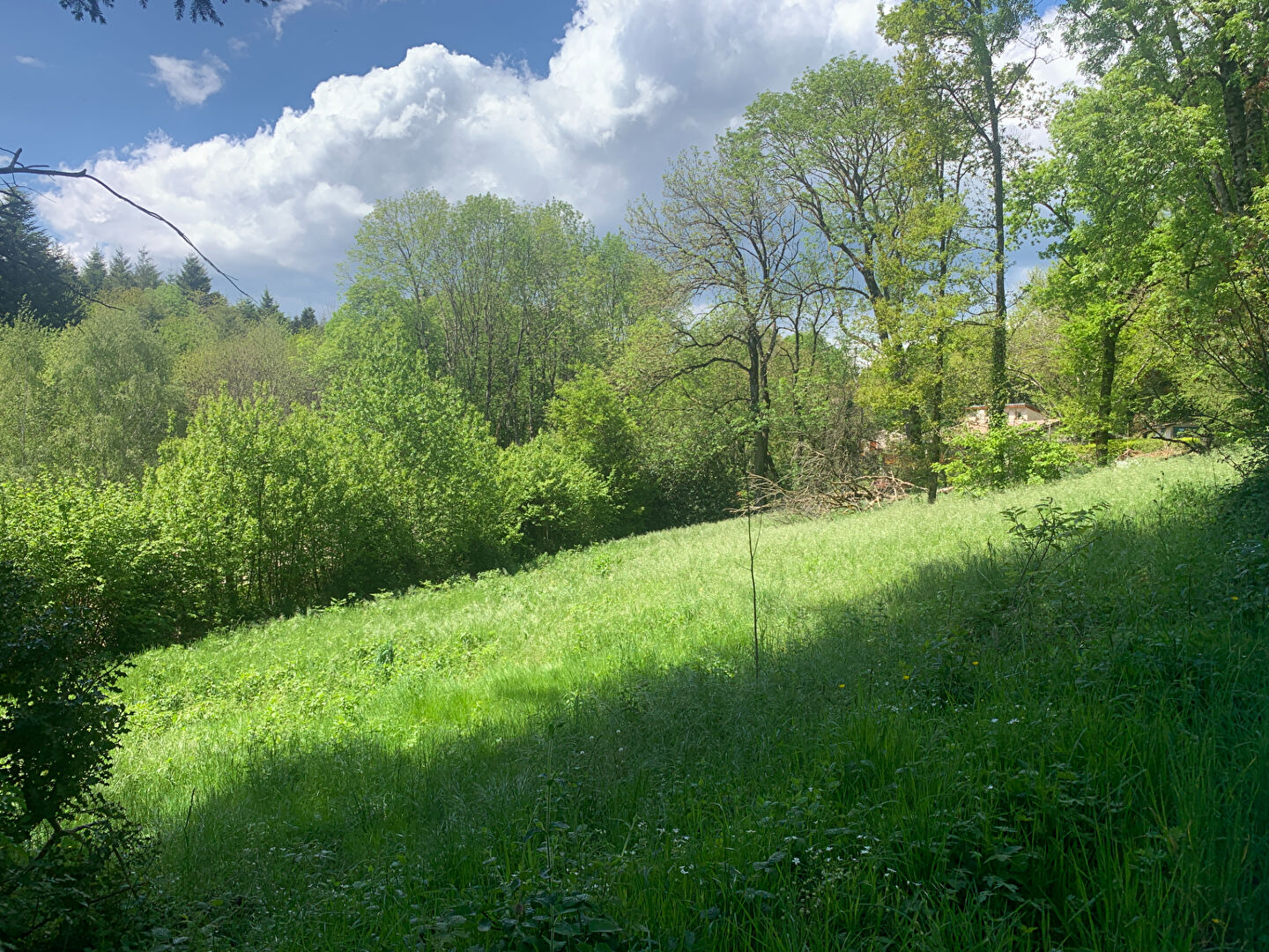 Terrain FONTIERS CABARDES (11390) 2050.00 m²