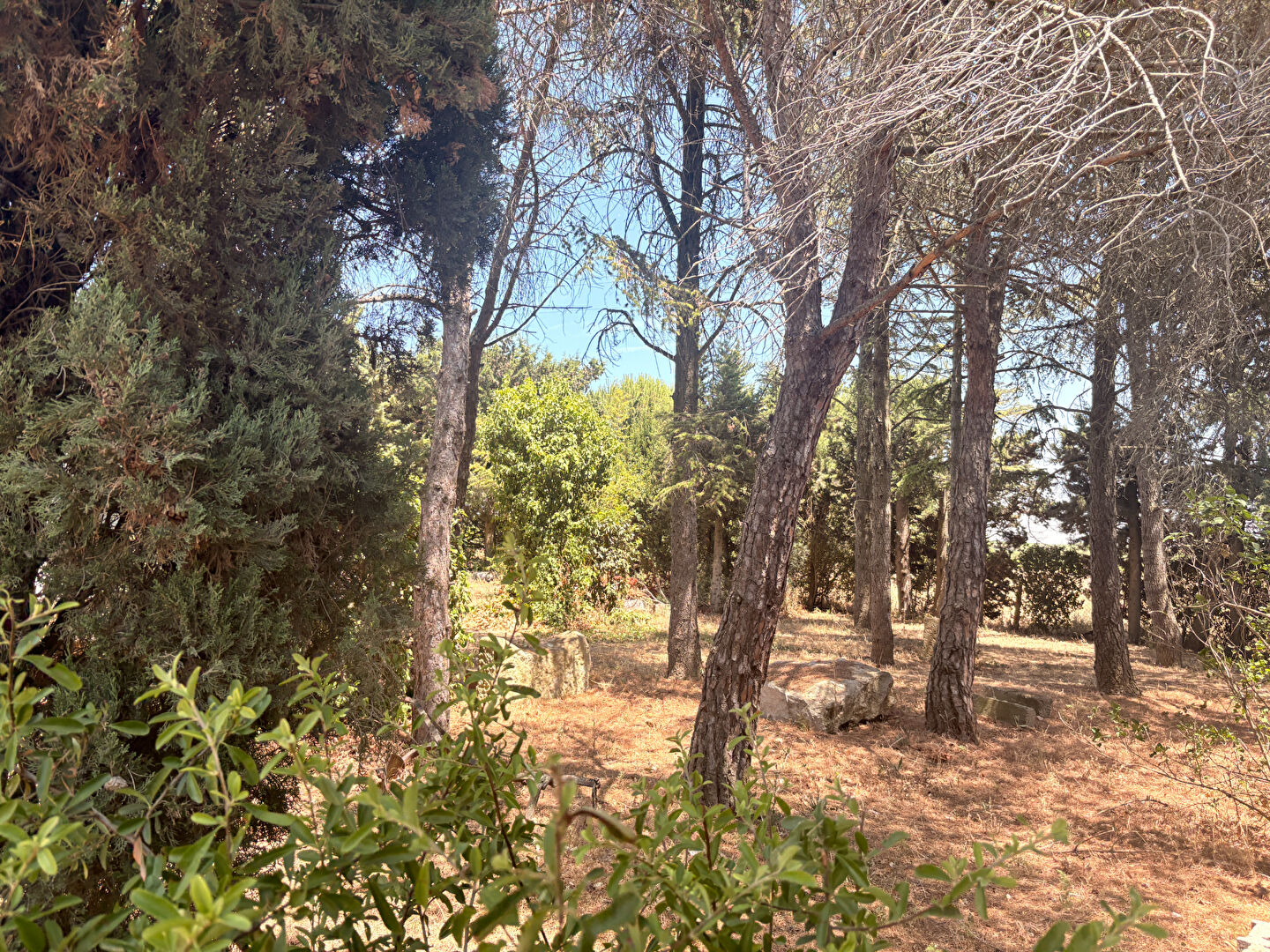 Terrain VILLEGAILHENC (11600) 855.00 m&sup2;