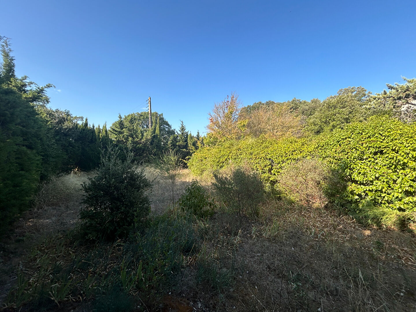Terrain ALAIRAC (11290) 670.00 m&sup2;