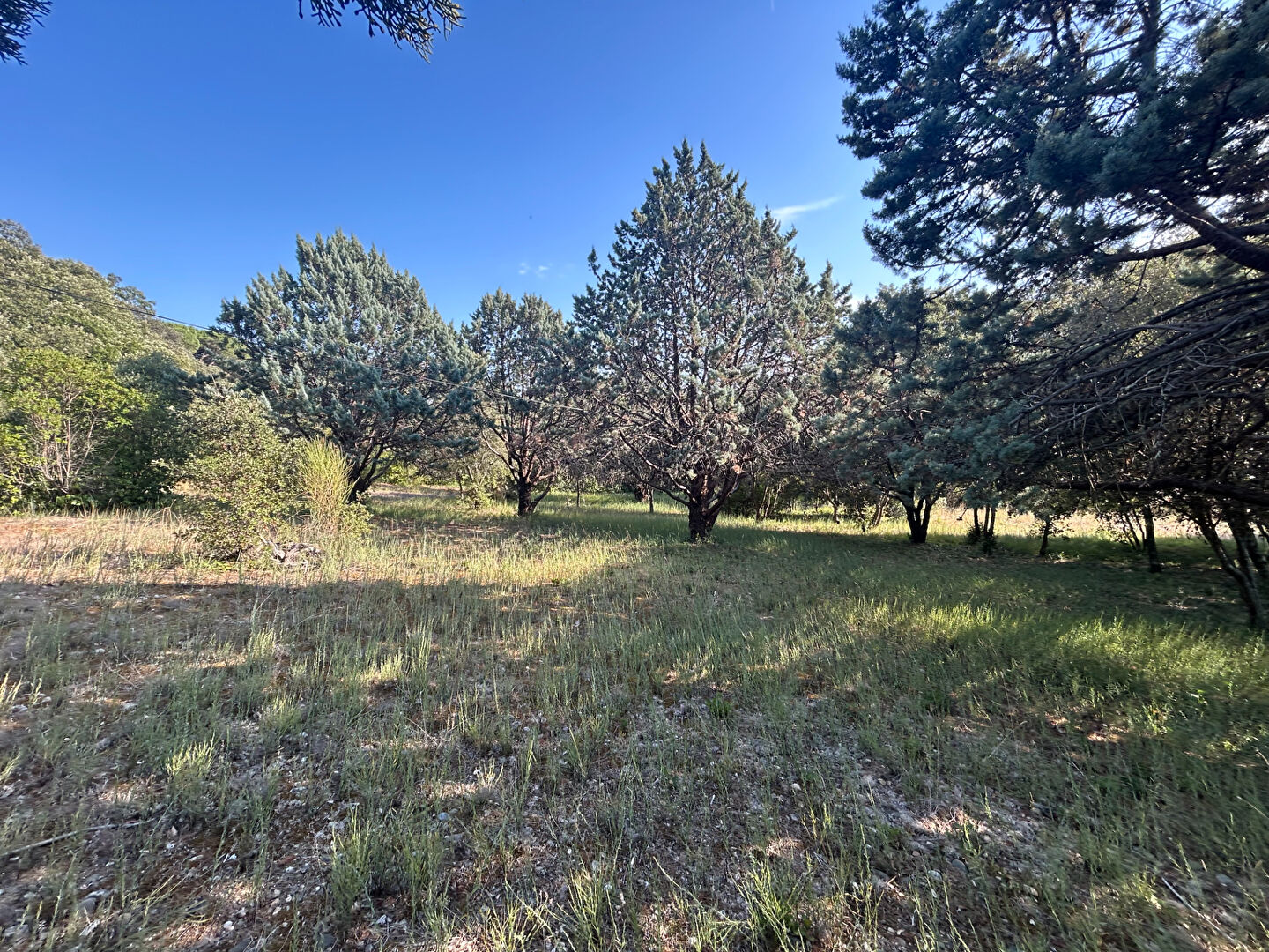 Terrain ALAIRAC (11290) 1510.00 m&sup2;