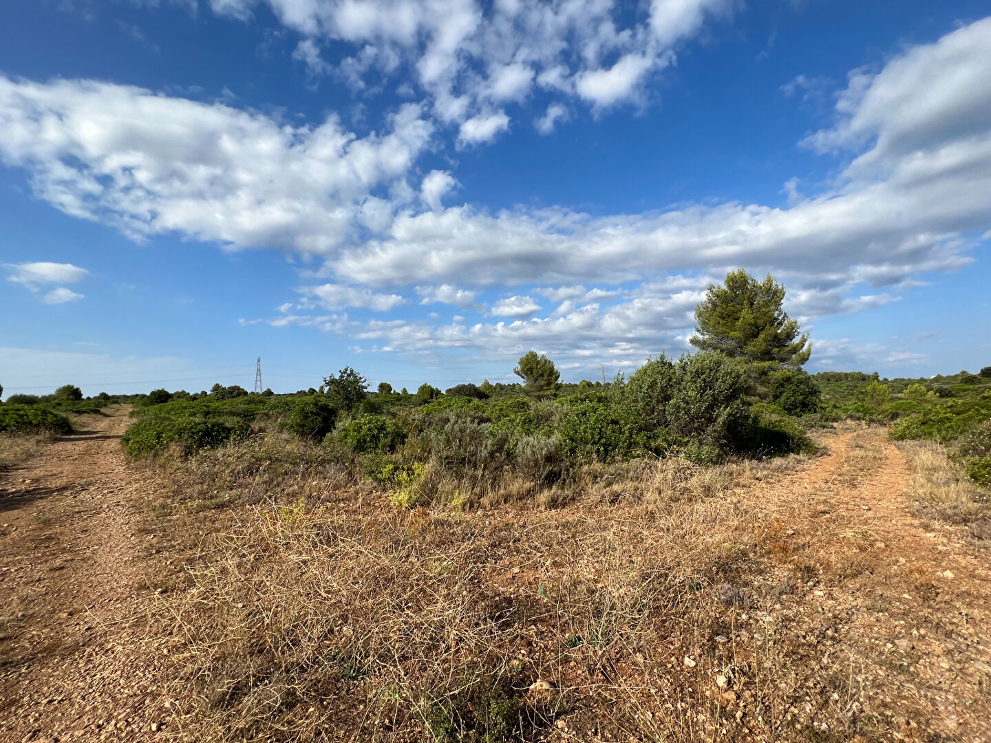 Terrain JUVIGNAC (34990) 5029.00 m²