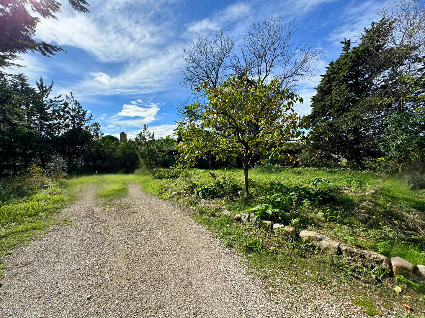 Terrain GRABELS (34790) 600.00 m²